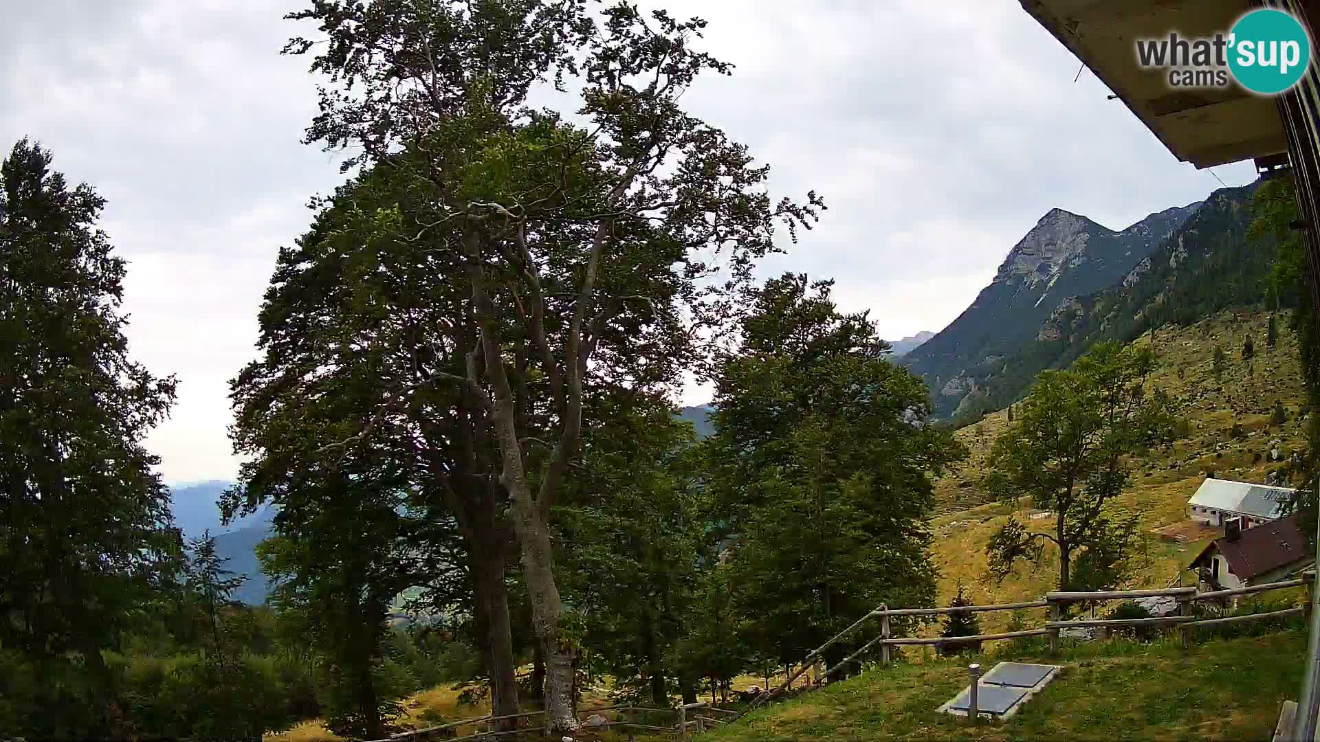 Planina Razor Mountain Hut live cam (1315) | view to Tolminski Migovec