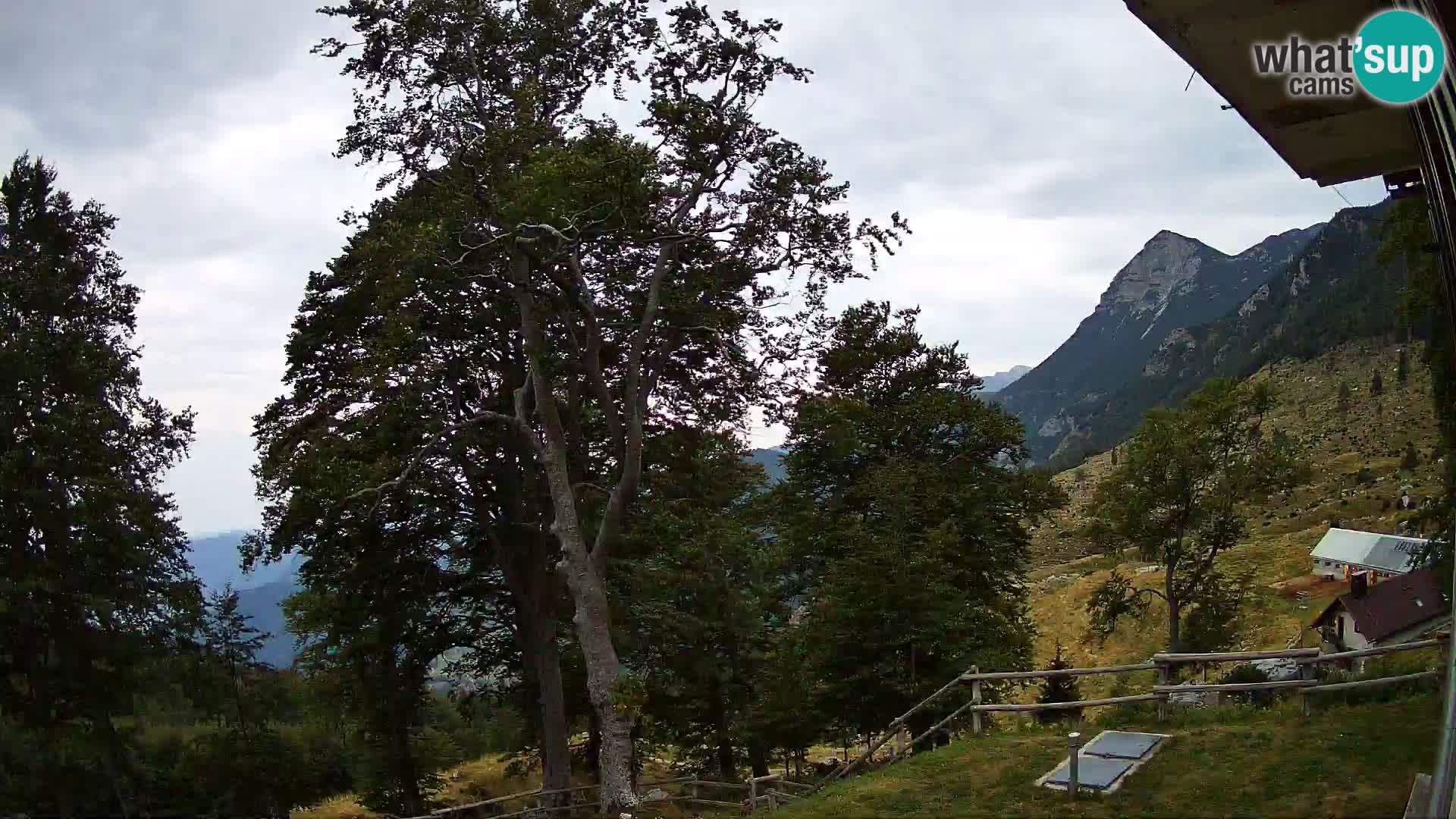 Planina Razor Mountain Hut live cam (1315) | view to Tolminski Migovec