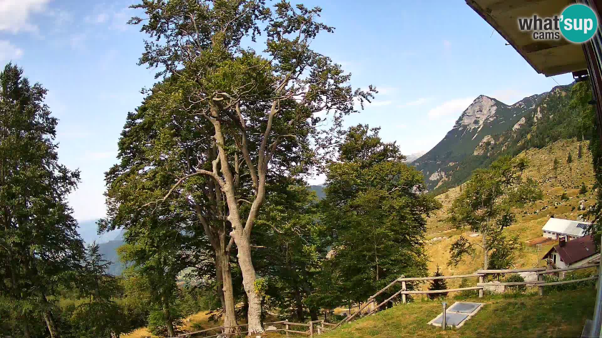 Baita di montagna Planina Razor webcam (1315) | vista su Tolminski Migovec
