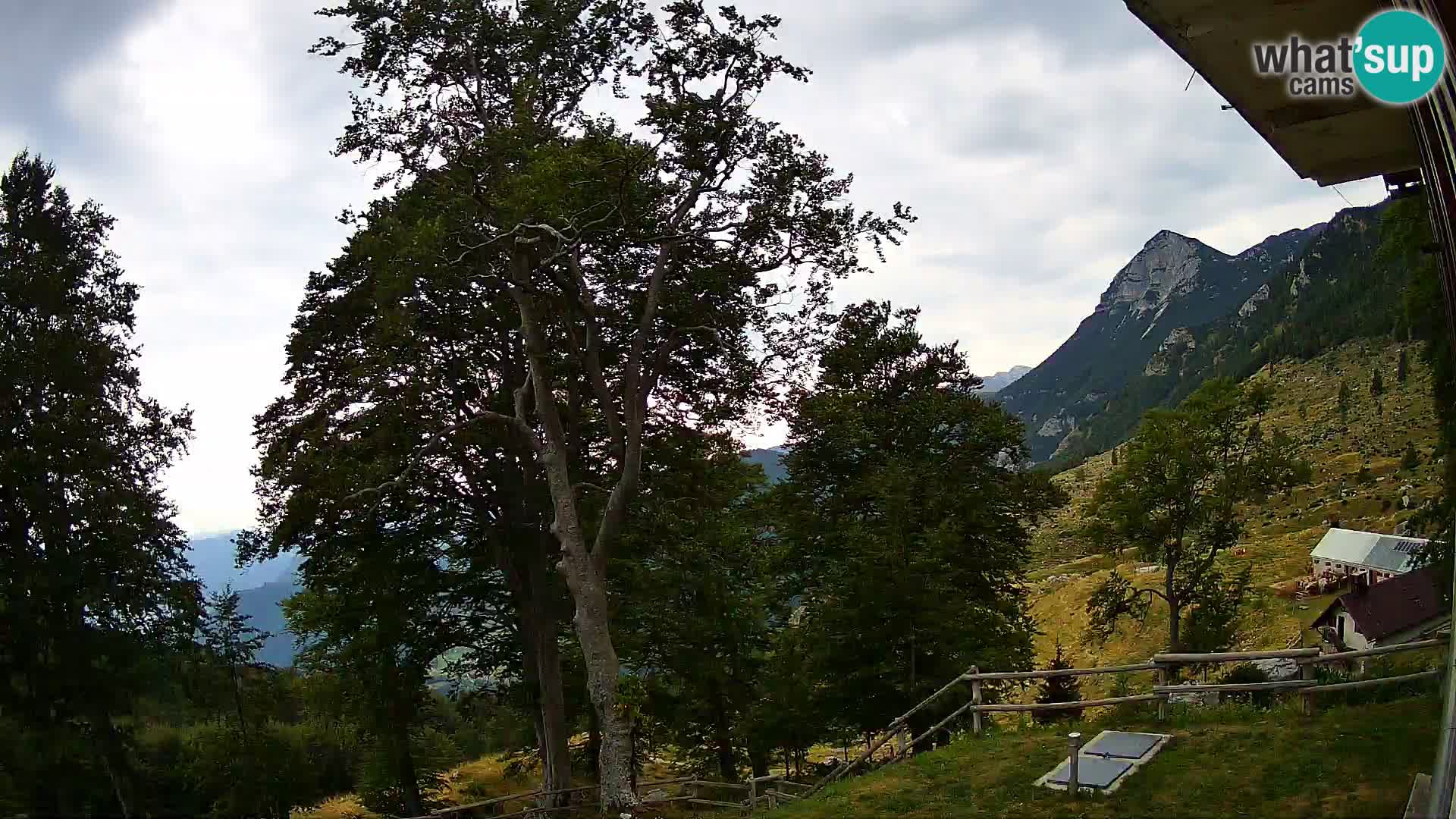Planina Razor Mountain Hut live cam (1315) | view to Tolminski Migovec