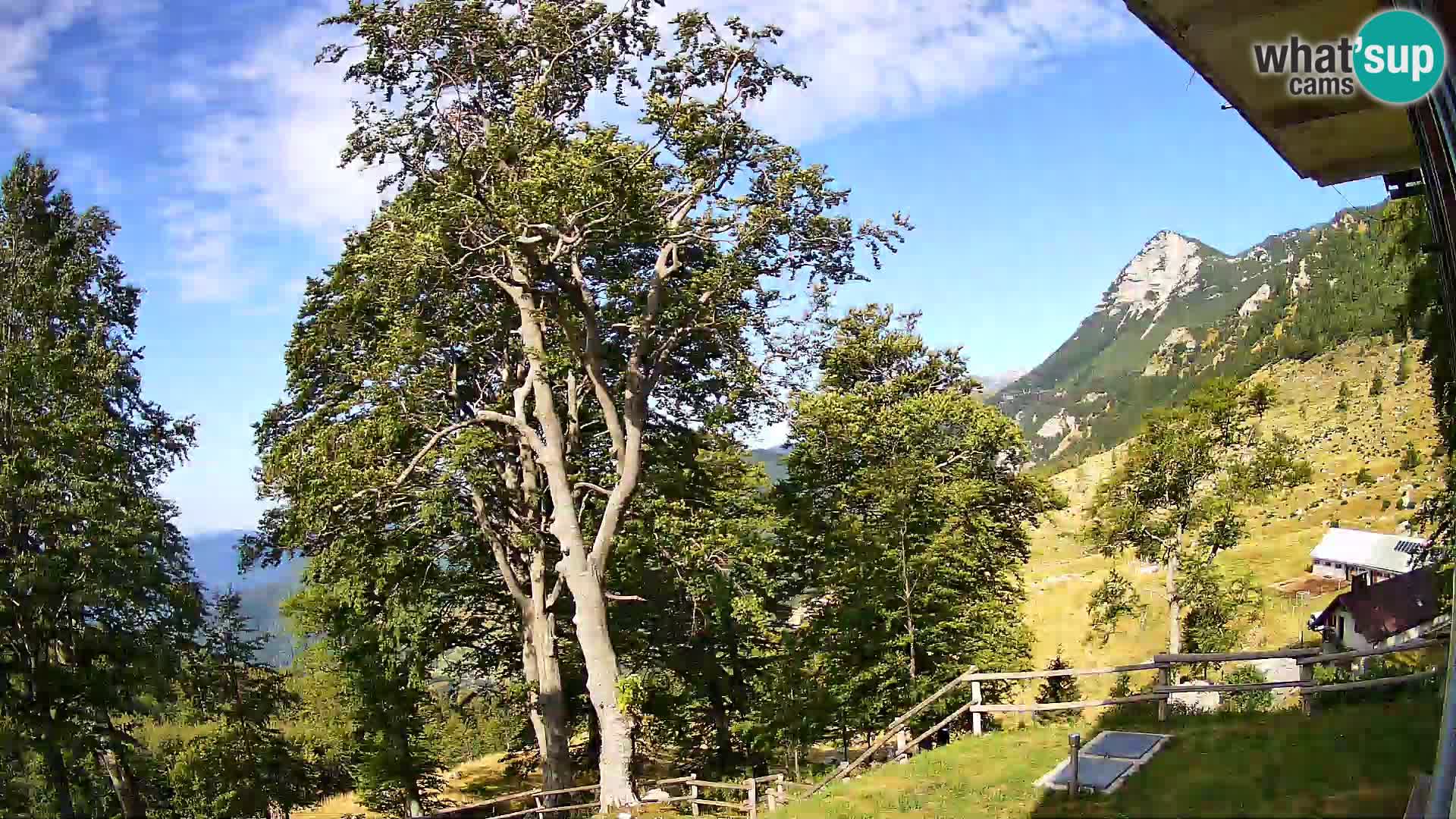 Cámara en vivo de la cabaña de montaña Planina Razor (1315) | vista hacia Tolminski Migovec