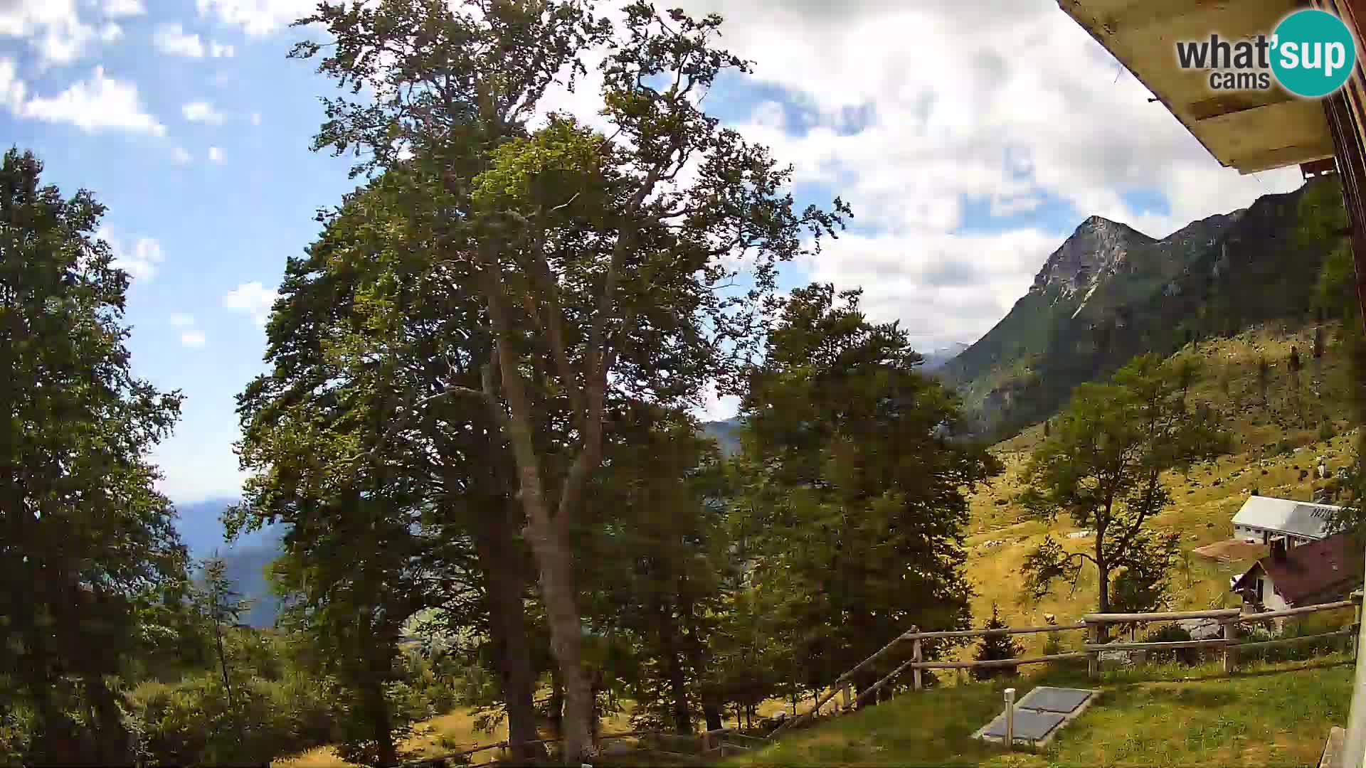 Planina Razor Bergütte Webcam (1315) | Blick auf Tolminski Migovec