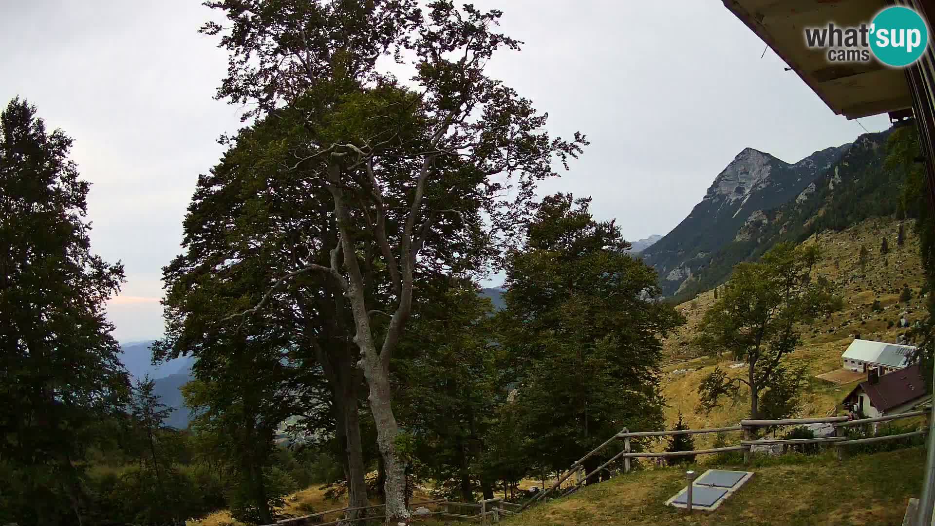 Planina Razor Mountain Hut live cam (1315) | view to Tolminski Migovec