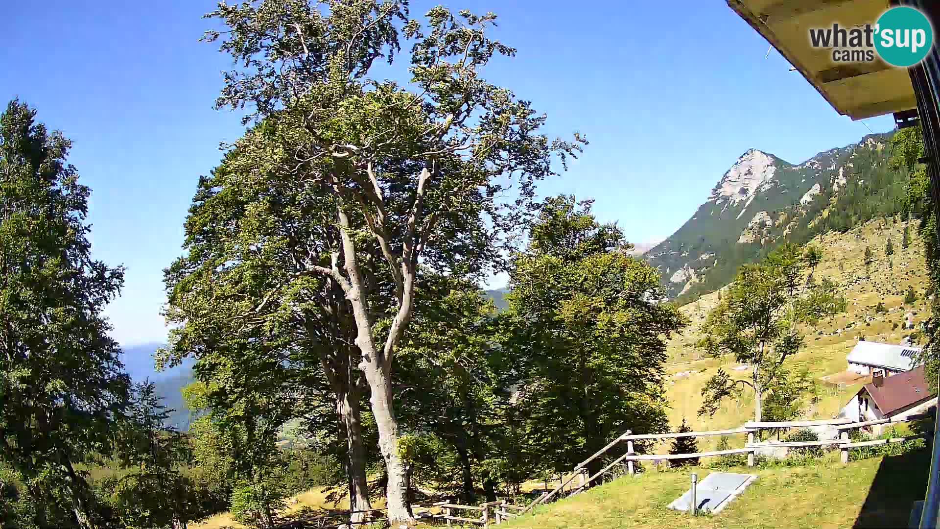 Baita di montagna Planina Razor webcam (1315) | vista su Tolminski Migovec