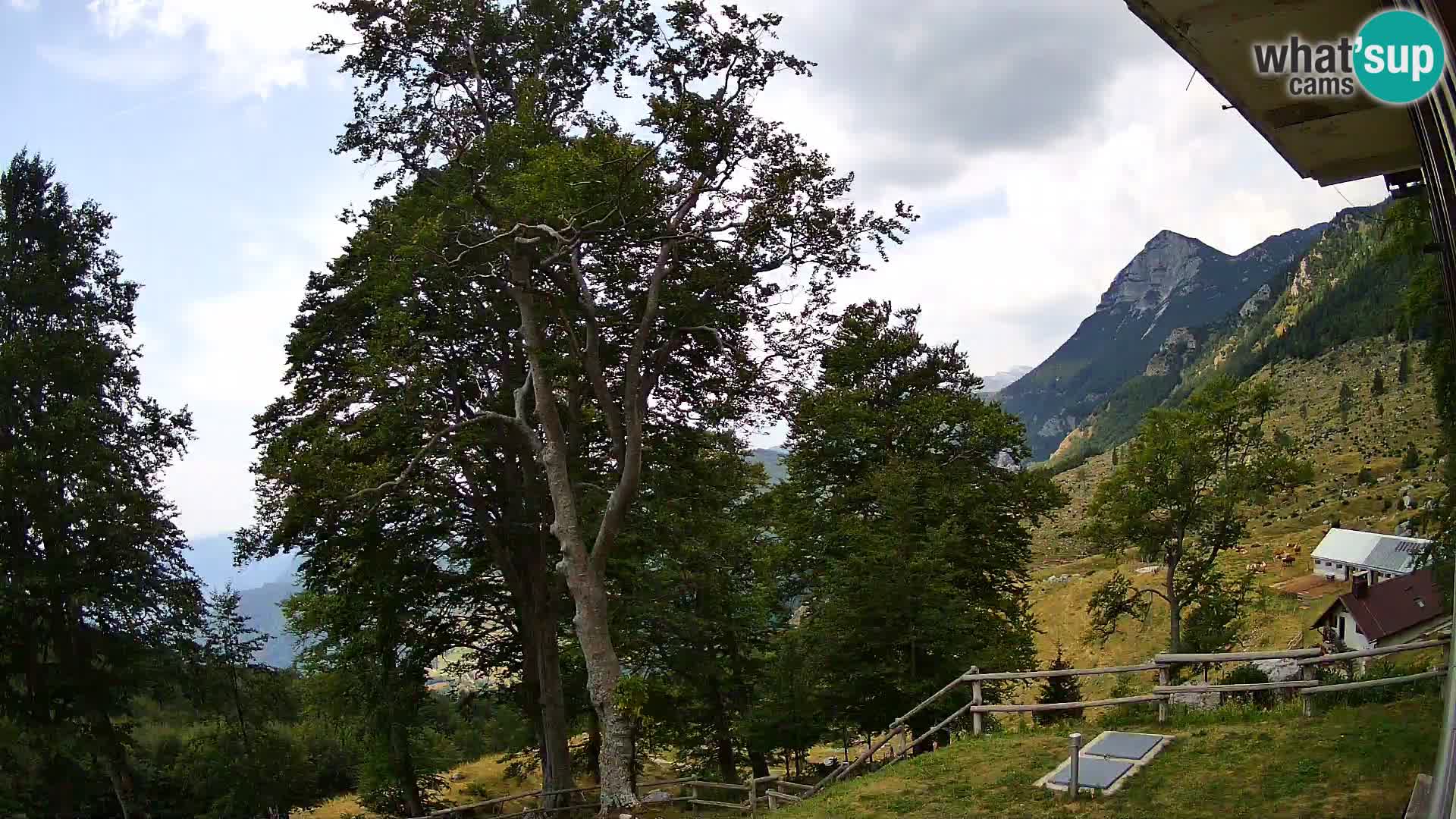 Baita di montagna Planina Razor webcam (1315) | vista su Tolminski Migovec