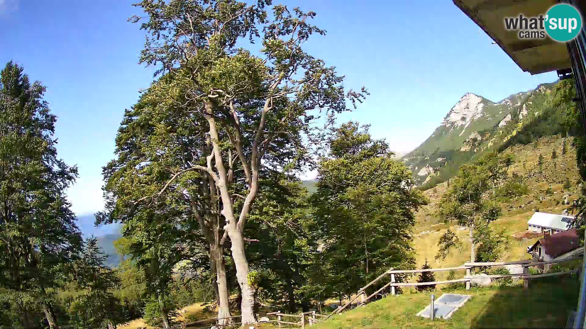 Planina Razor Bergütte Webcam (1315) | Blick auf Tolminski Migovec