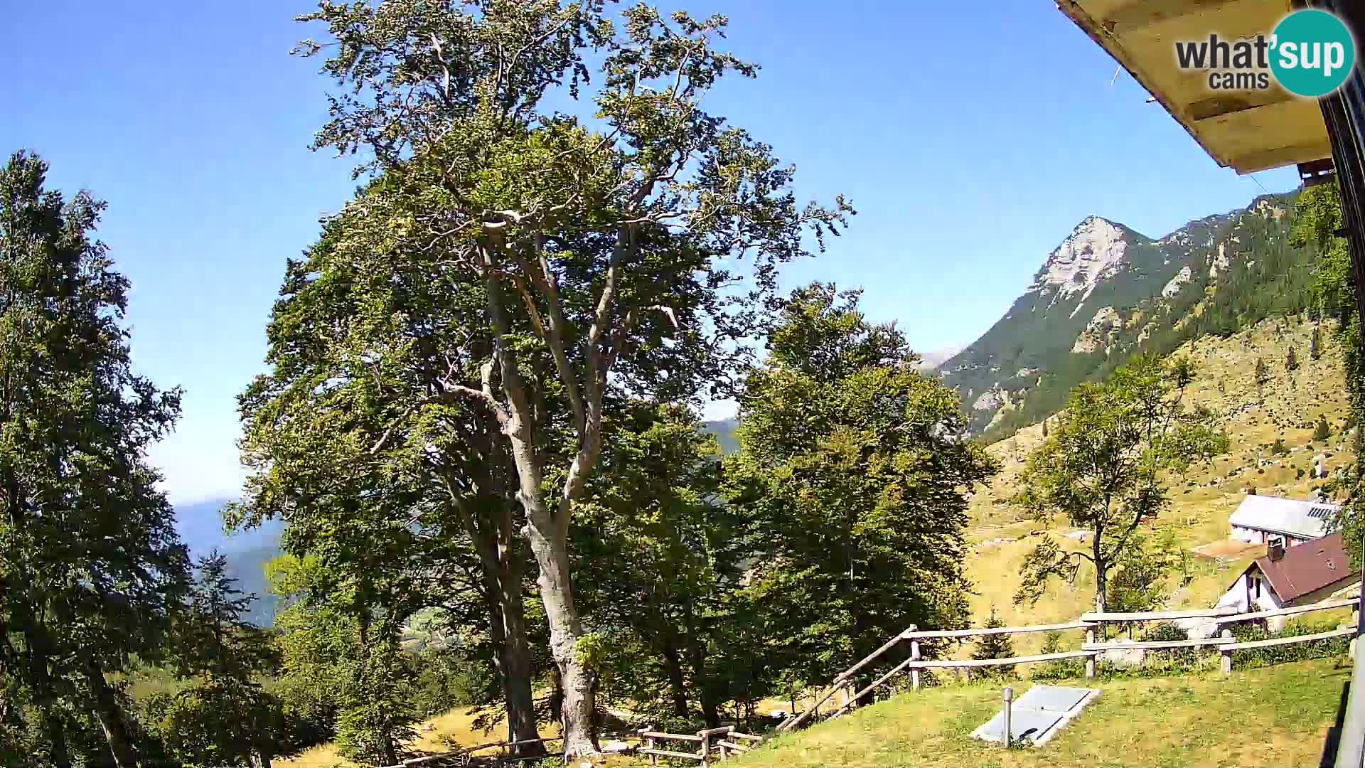 Cámara en vivo de la cabaña de montaña Planina Razor (1315) | vista hacia Tolminski Migovec