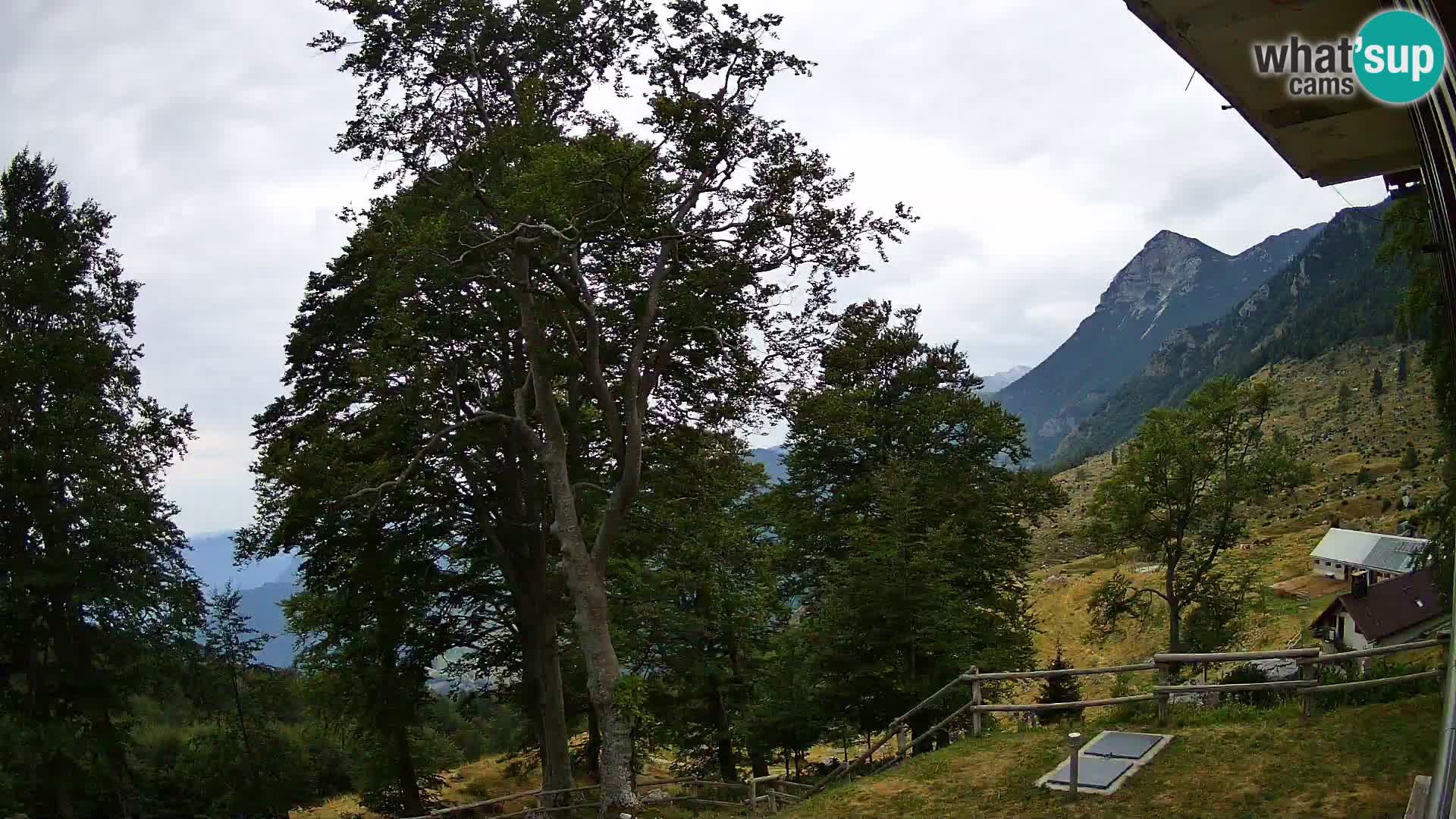 Planina Razor Mountain Hut live cam (1315) | view to Tolminski Migovec