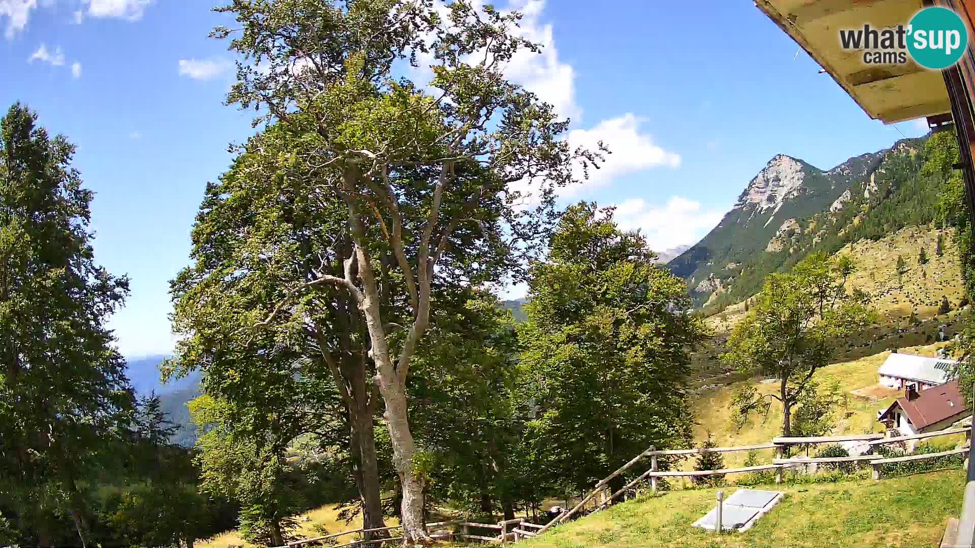 Planina Razor Bergütte Webcam (1315) | Blick auf Tolminski Migovec