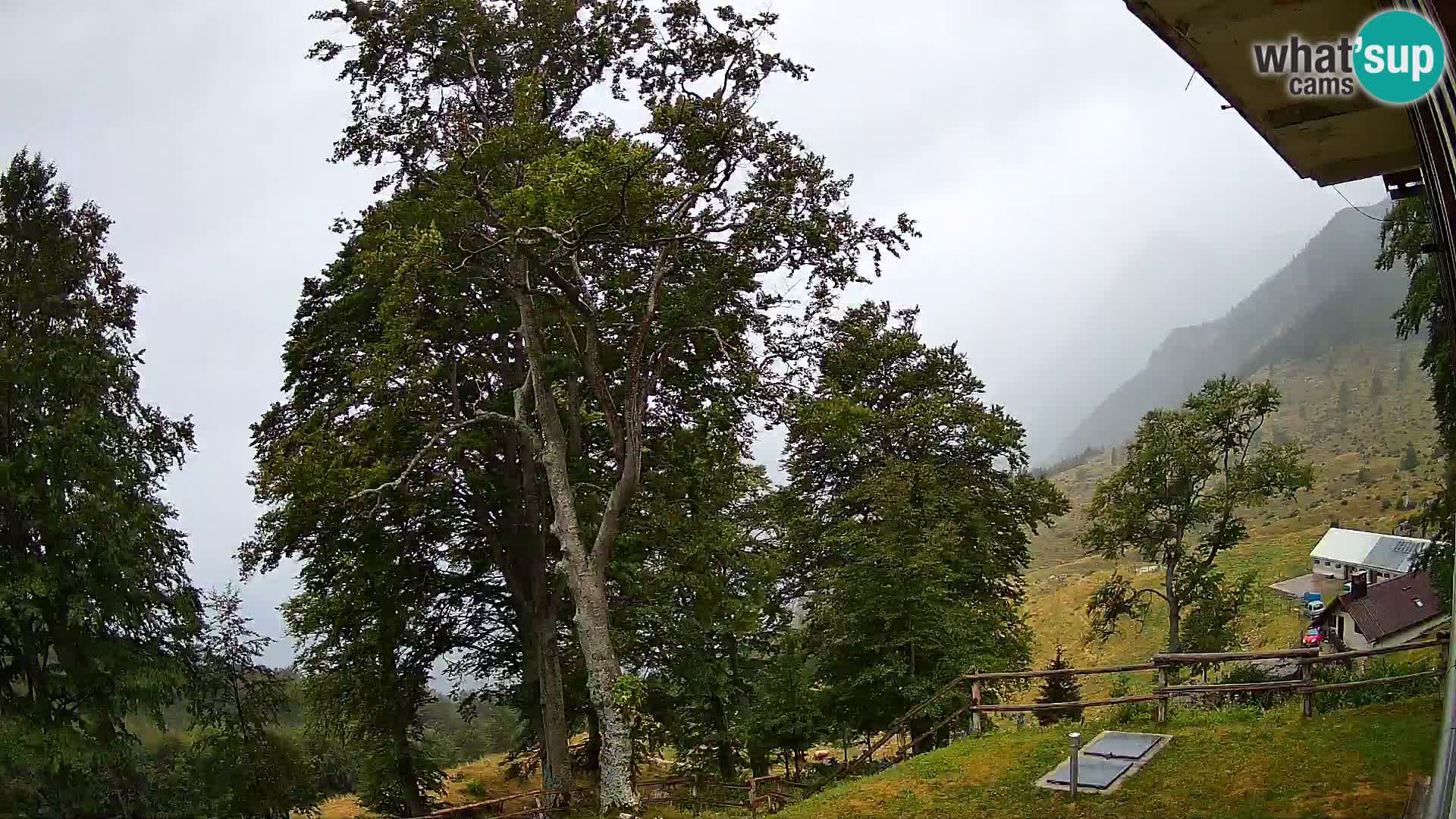 Planina Razor Bergütte Webcam (1315) | Blick auf Tolminski Migovec