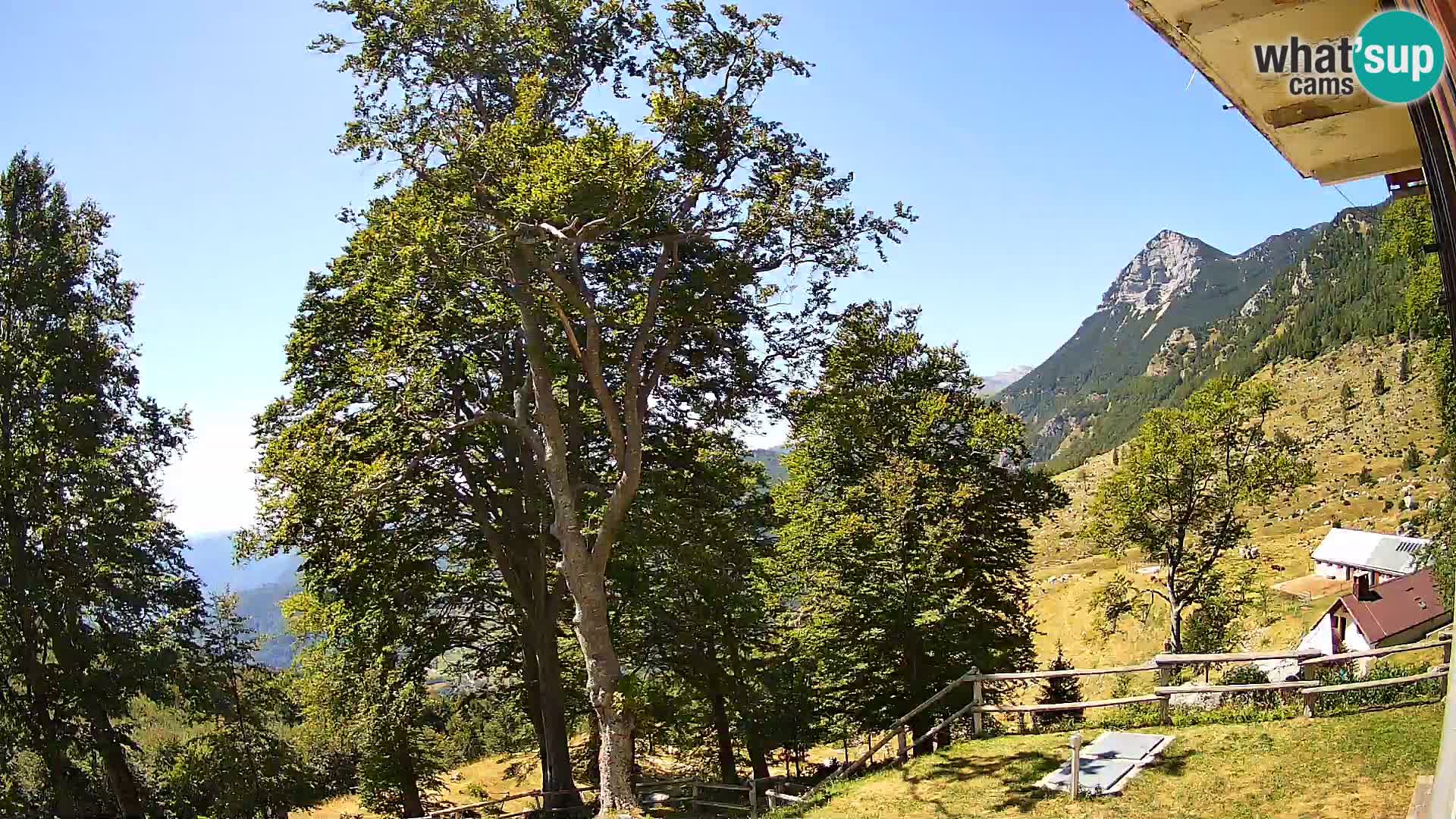Planina Razor Bergütte Webcam (1315) | Blick auf Tolminski Migovec