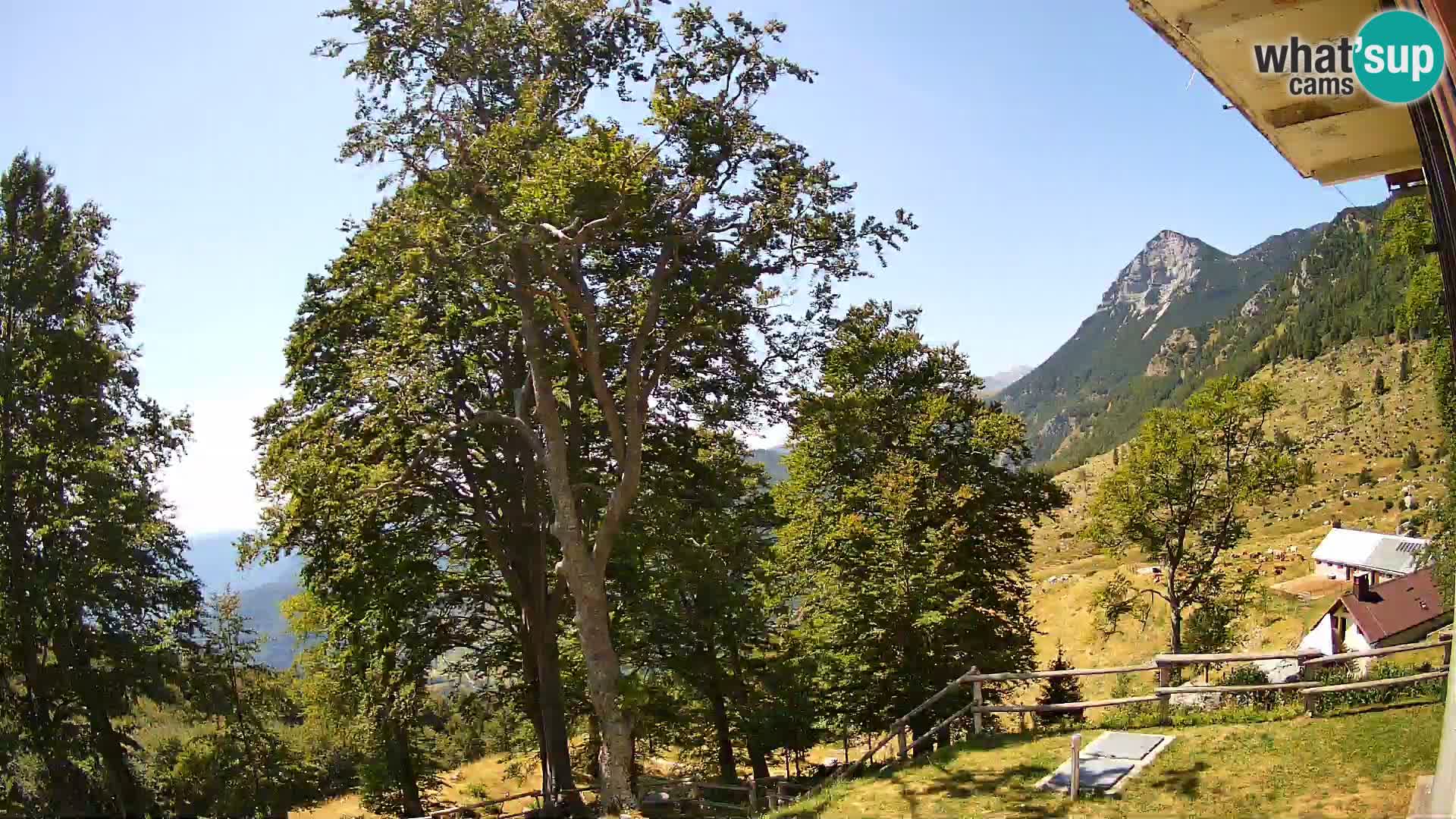 Planina Razor Mountain Hut live cam (1315) | view to Tolminski Migovec