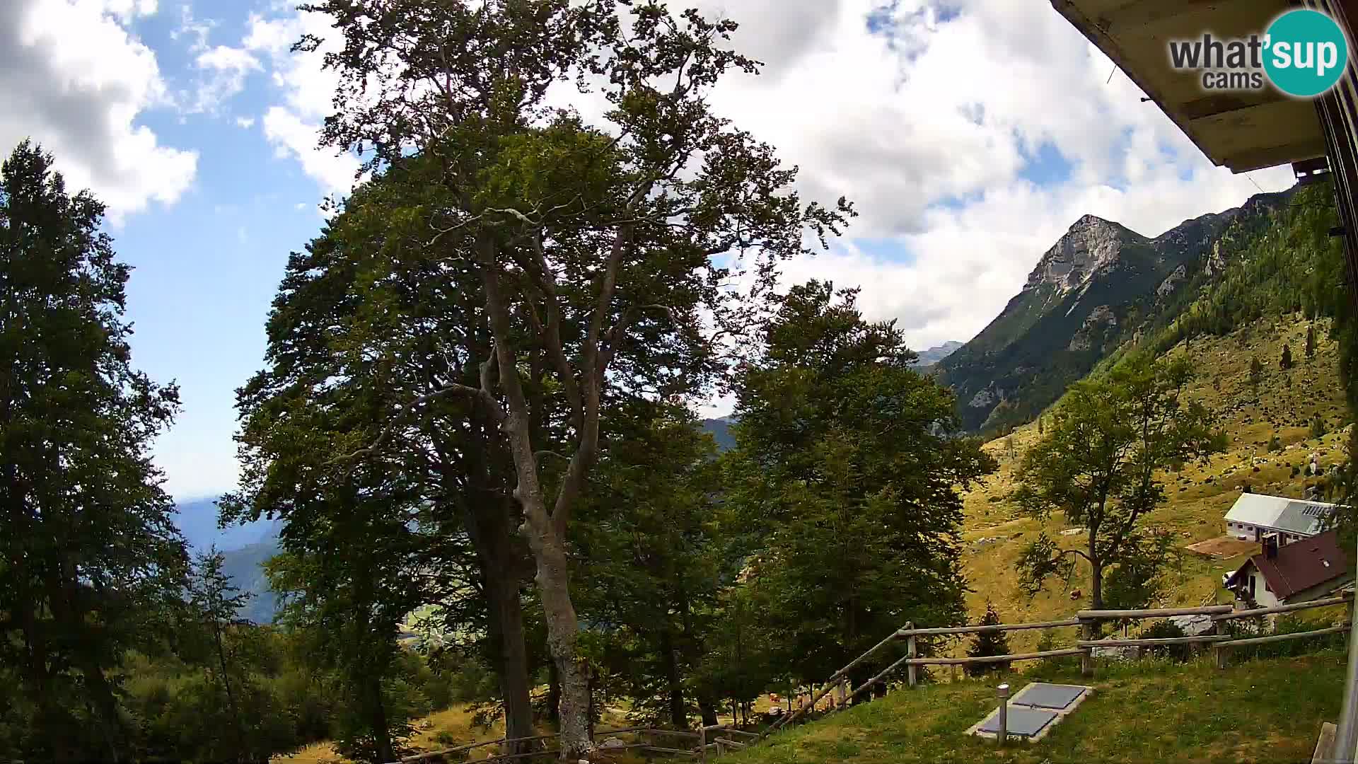 Baita di montagna Planina Razor webcam (1315) | vista su Tolminski Migovec