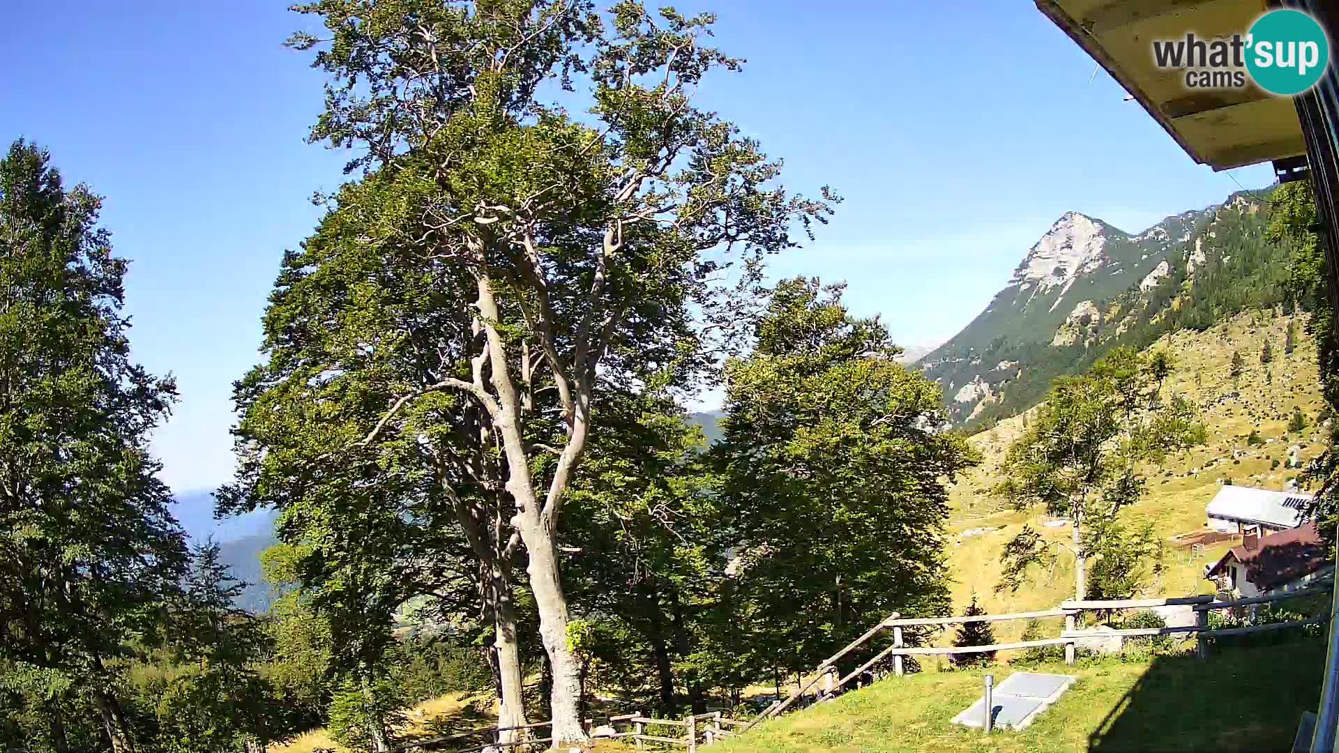 Planina Razor Bergütte Webcam (1315) | Blick auf Tolminski Migovec