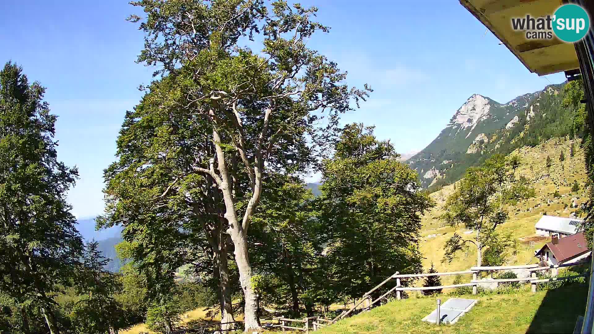 Baita di montagna Planina Razor webcam (1315) | vista su Tolminski Migovec