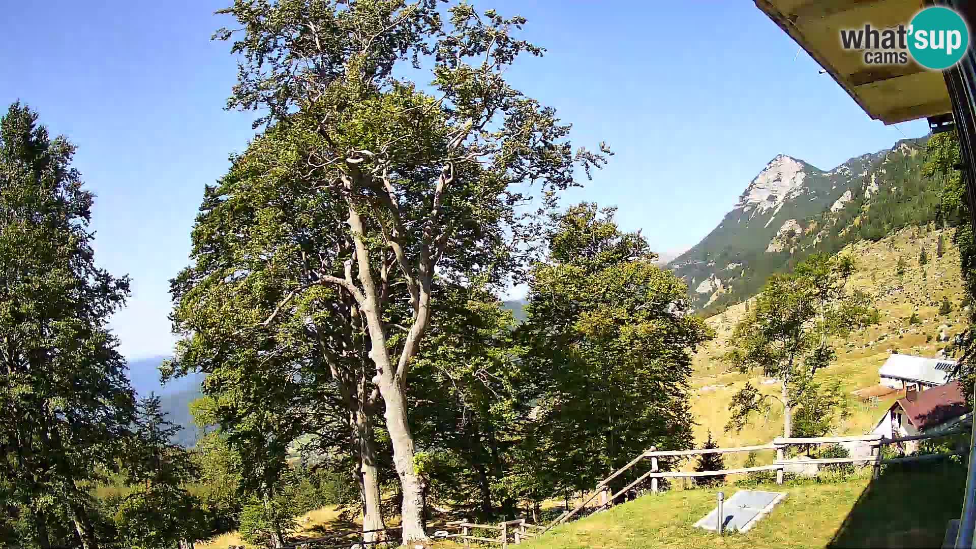 Planina Razor Bergütte Webcam (1315) | Blick auf Tolminski Migovec