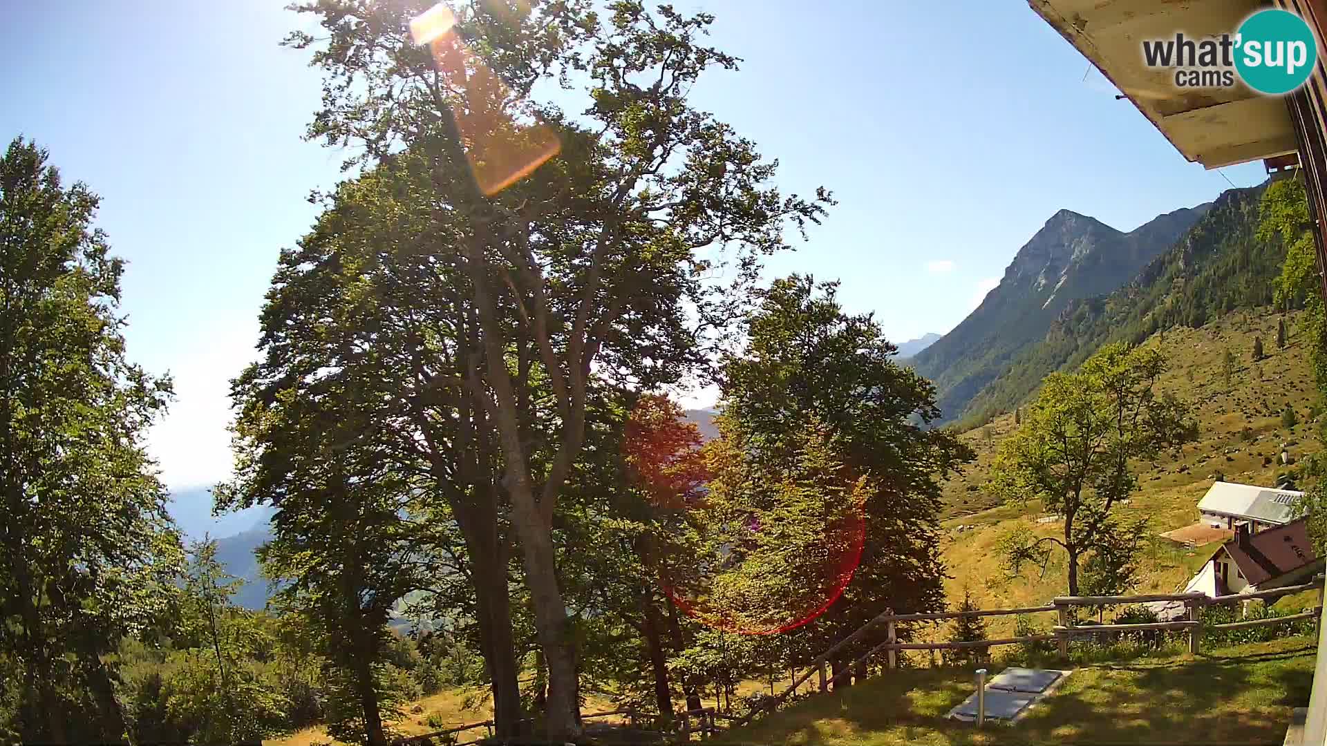 Baita di montagna Planina Razor webcam (1315) | vista su Tolminski Migovec