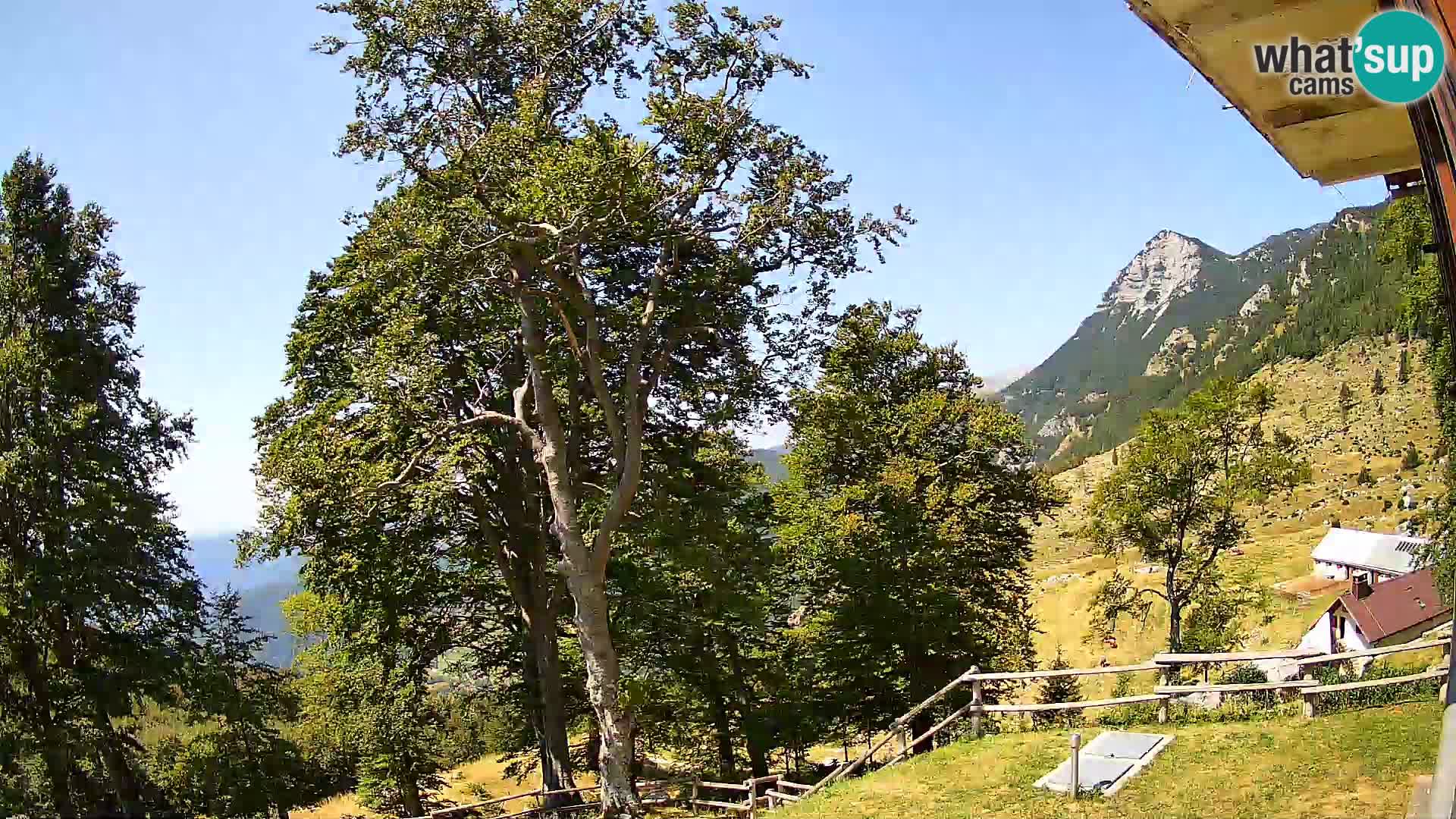 Refuge de la montagne Planina Razor caméra en direct (1315) | vue sur Tolminski Migovec