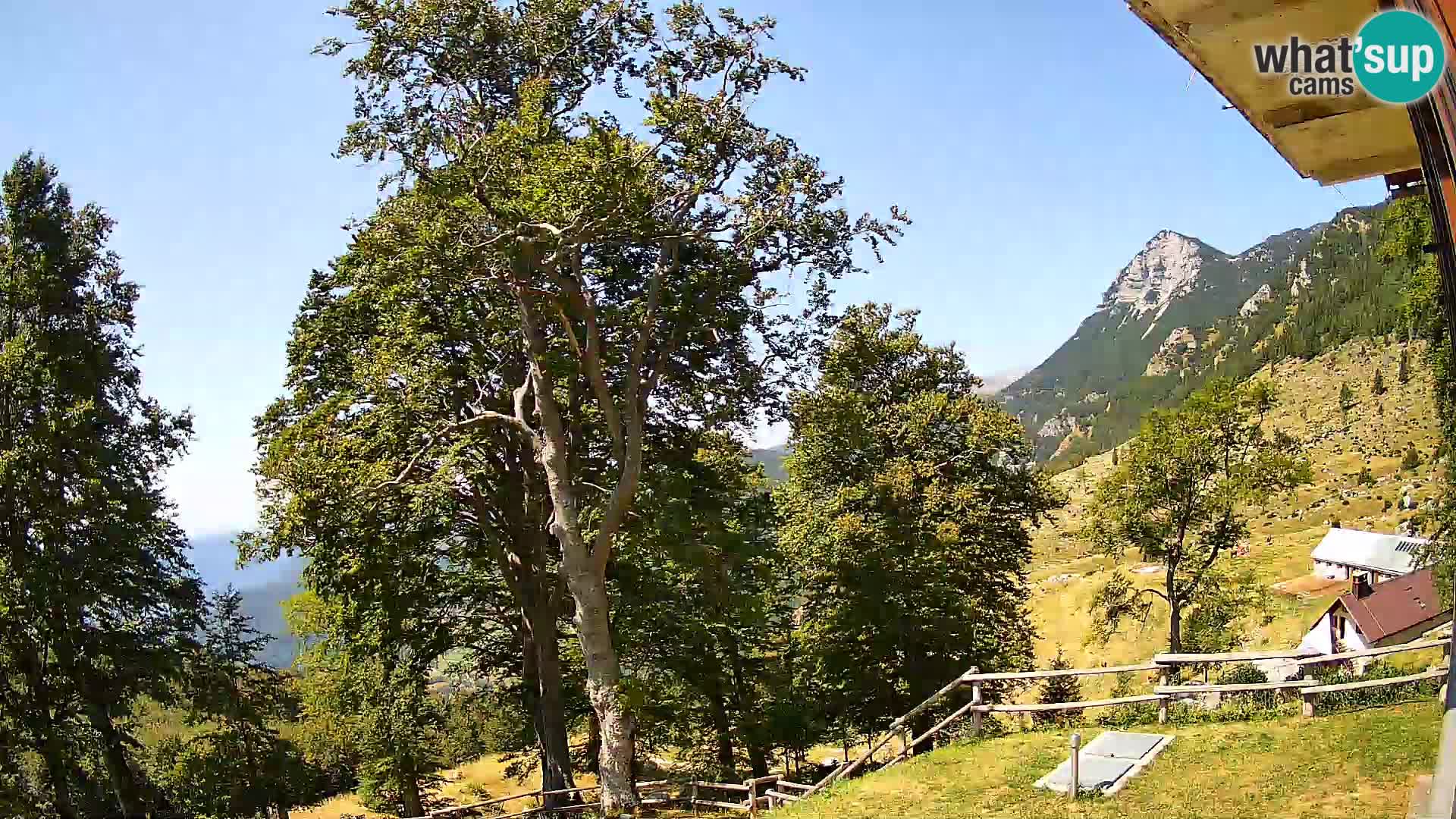 Planina Razor Bergütte Webcam (1315) | Blick auf Tolminski Migovec