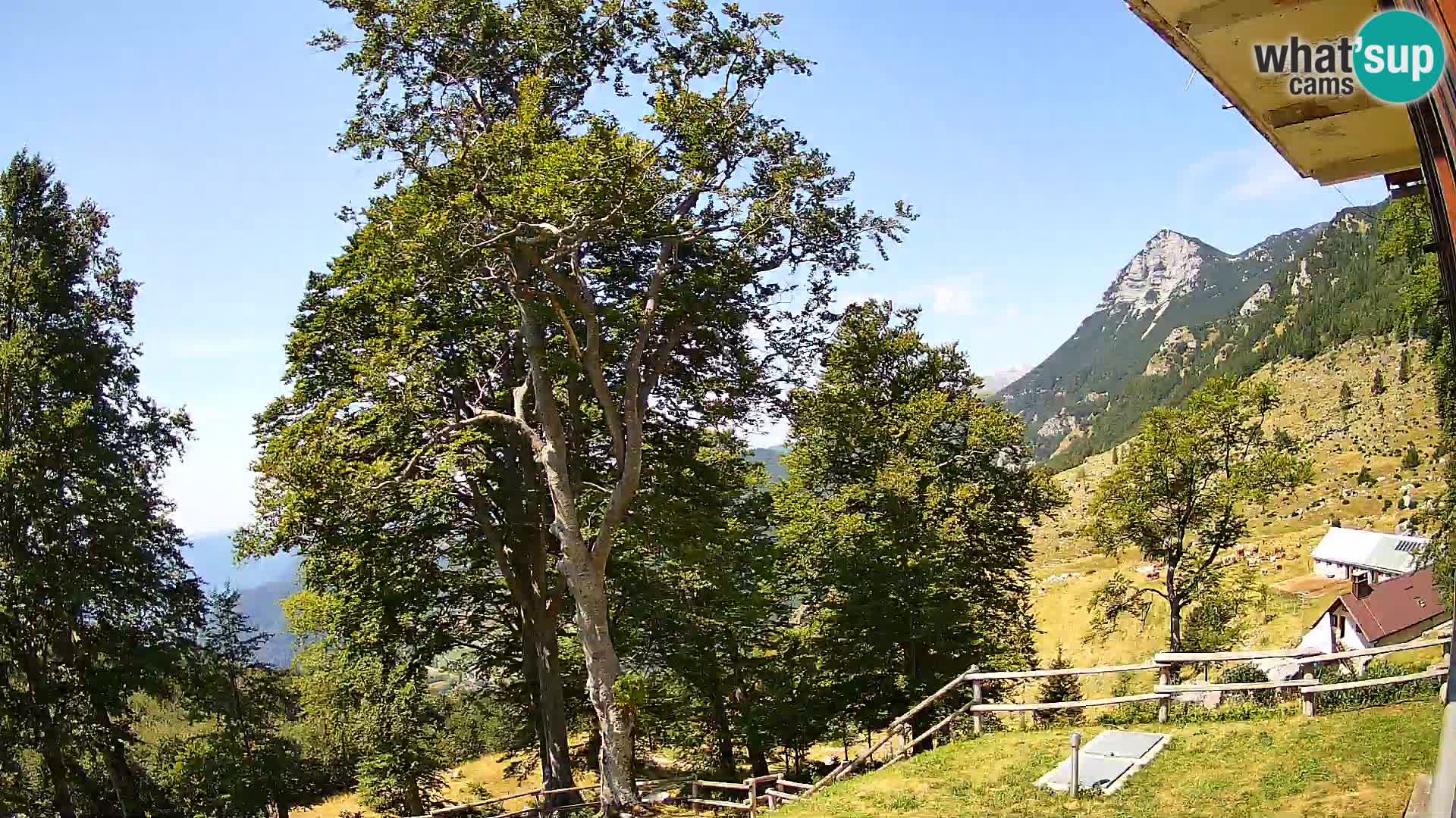 Baita di montagna Planina Razor webcam (1315) | vista su Tolminski Migovec