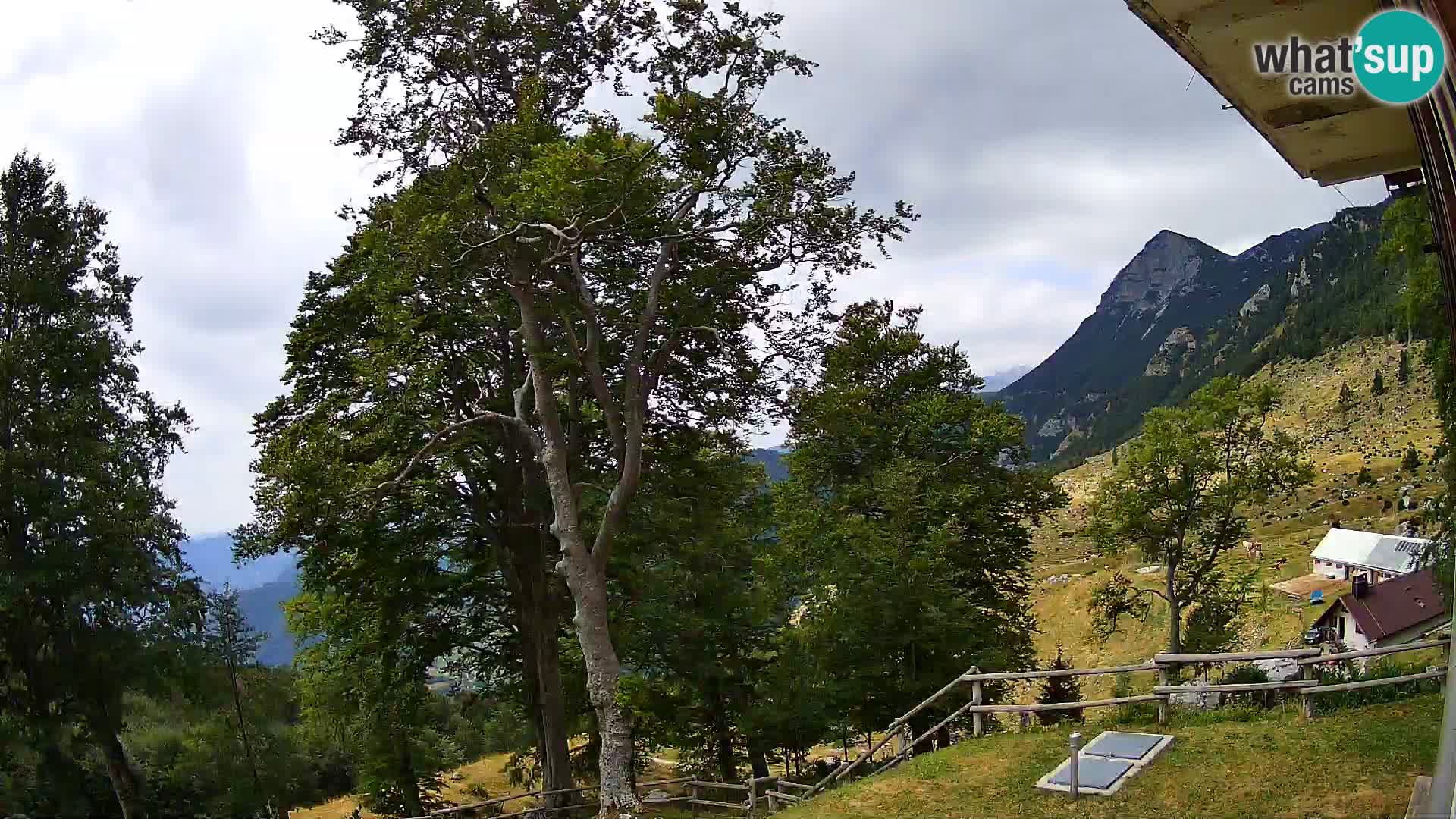 Planina Razor Mountain Hut live cam (1315) | view to Tolminski Migovec