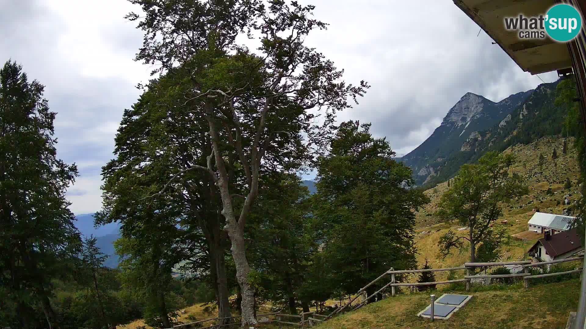 Baita di montagna Planina Razor webcam (1315) | vista su Tolminski Migovec