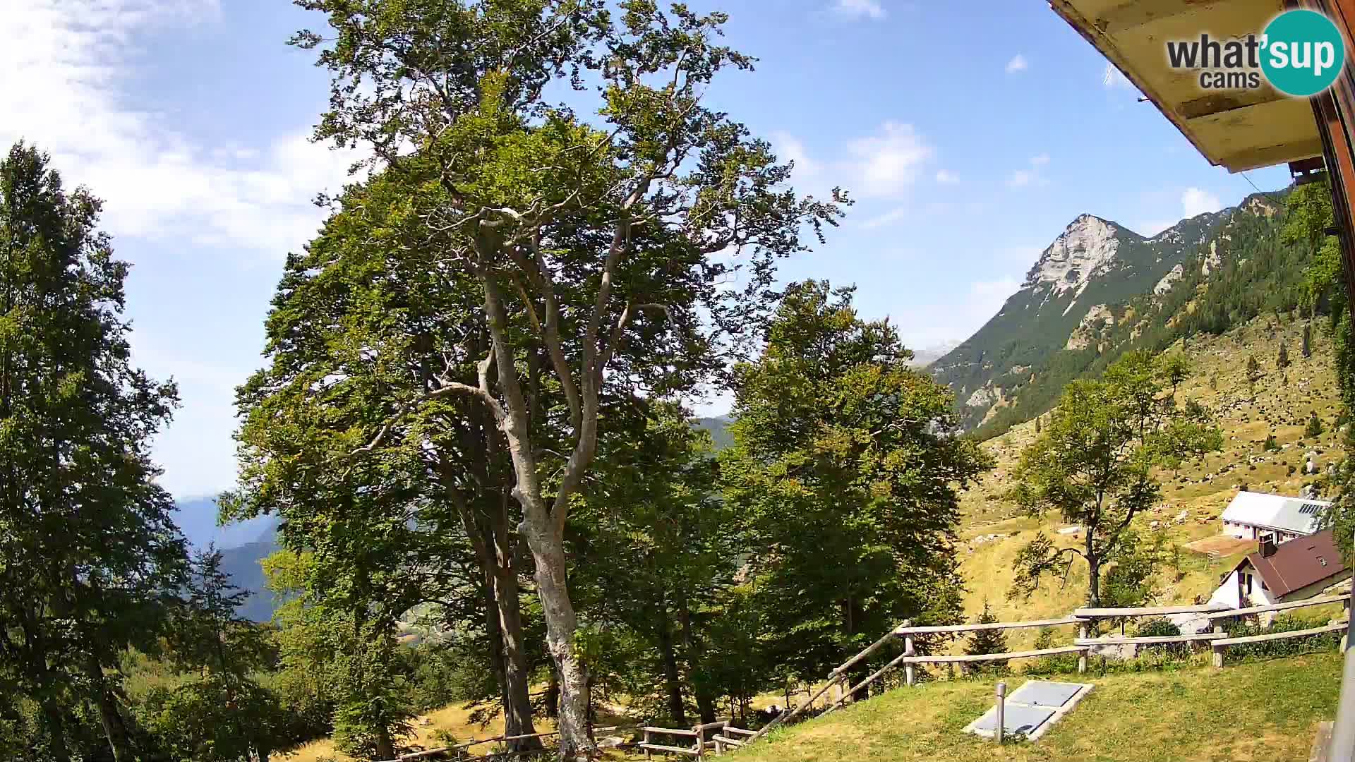 Planina Razor Mountain Hut live cam (1315) | view to Tolminski Migovec