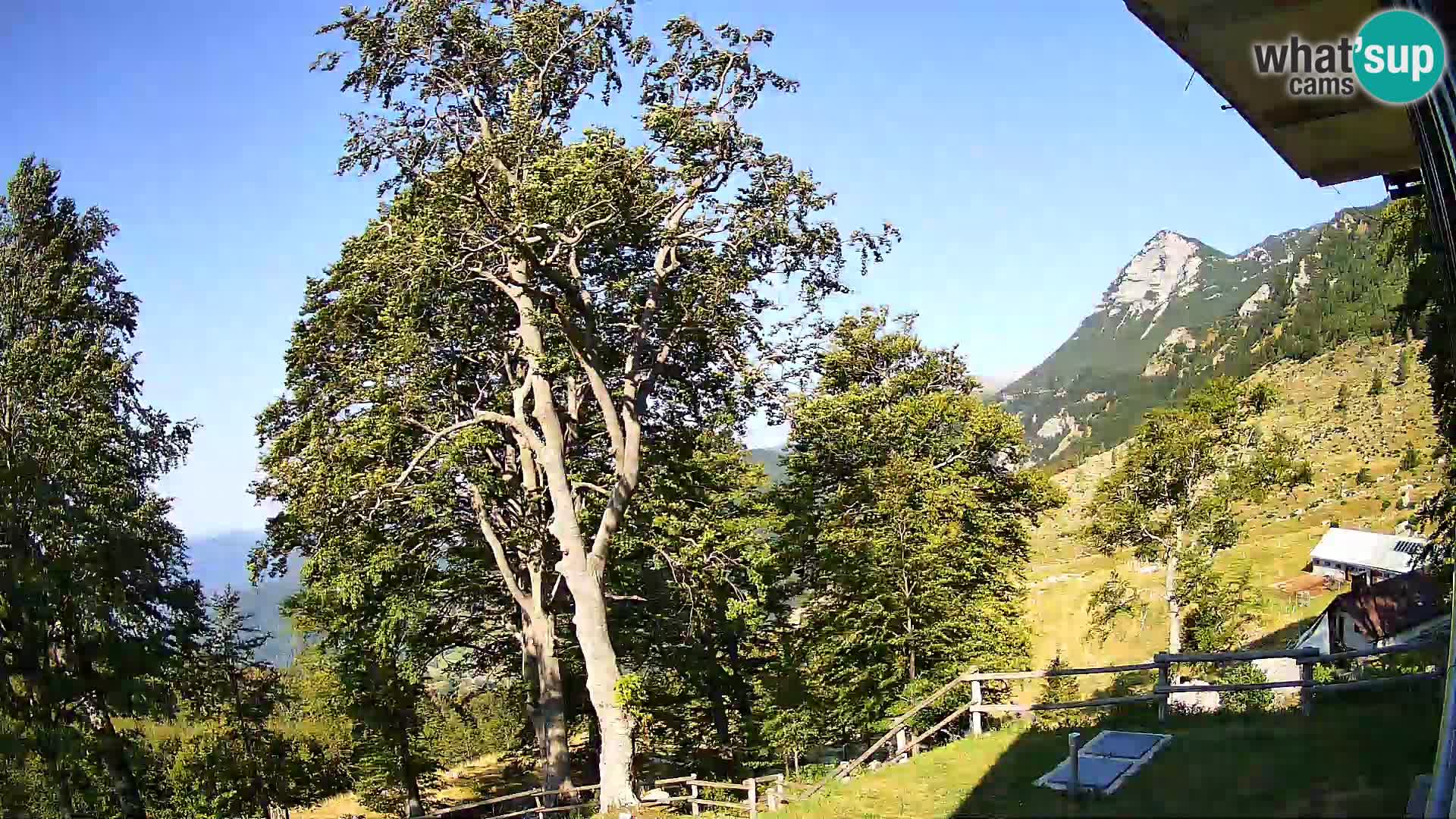 Cámara en vivo de la cabaña de montaña Planina Razor (1315) | vista hacia Tolminski Migovec