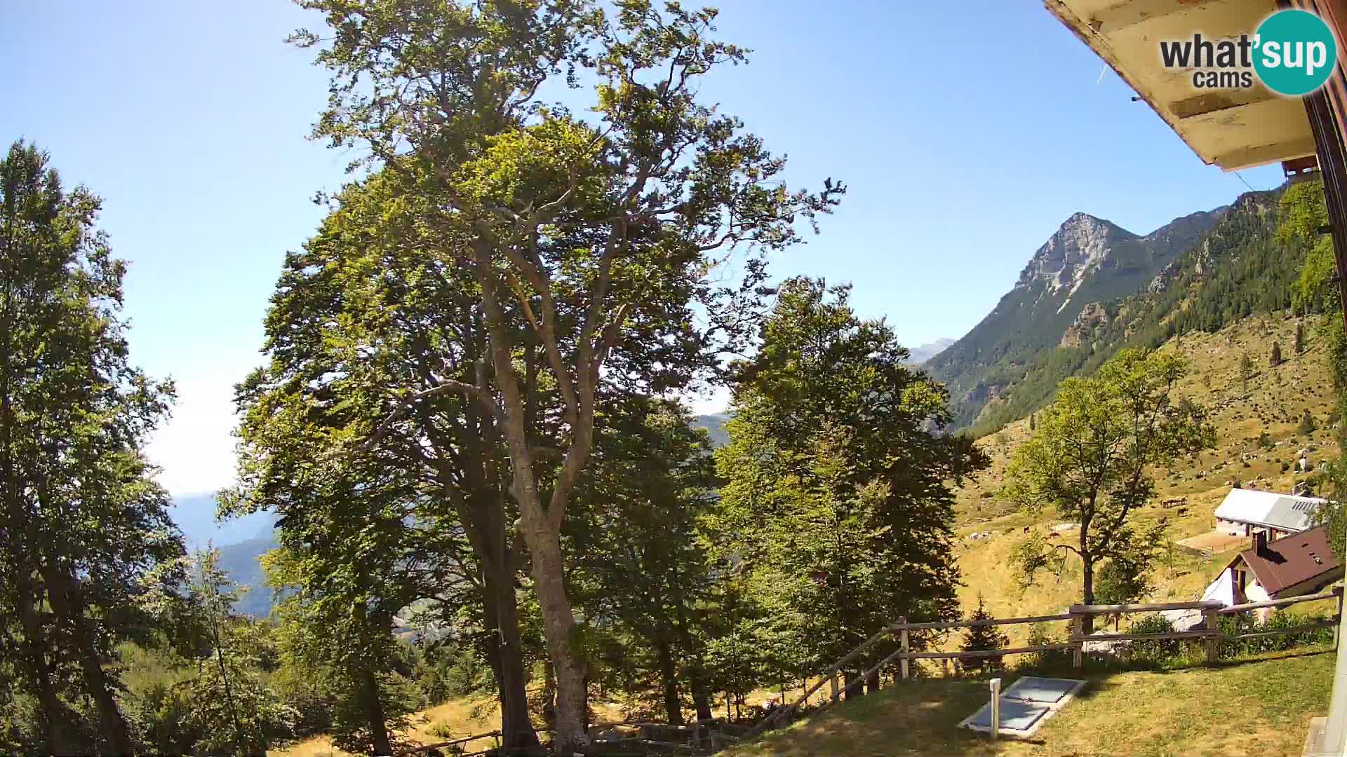 Cámara en vivo de la cabaña de montaña Planina Razor (1315) | vista hacia Tolminski Migovec