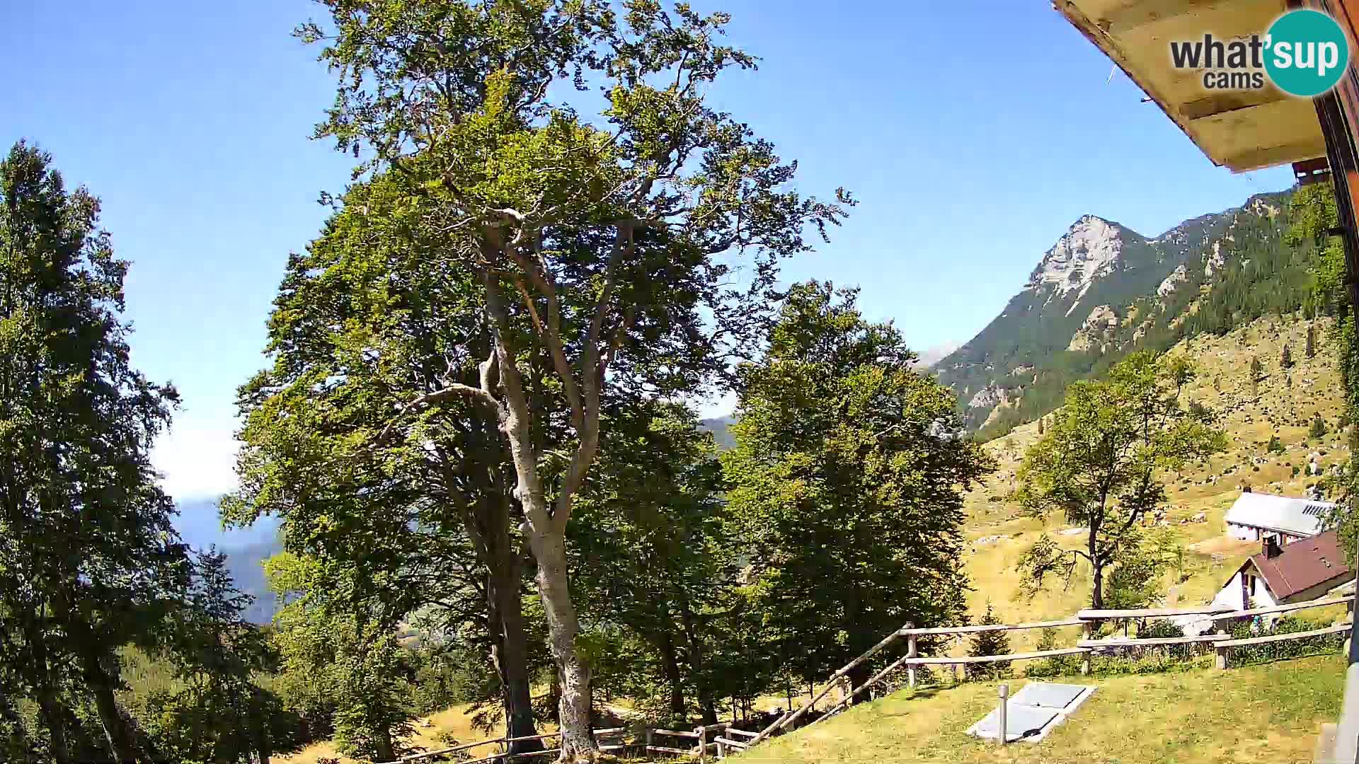 Baita di montagna Planina Razor webcam (1315) | vista su Tolminski Migovec