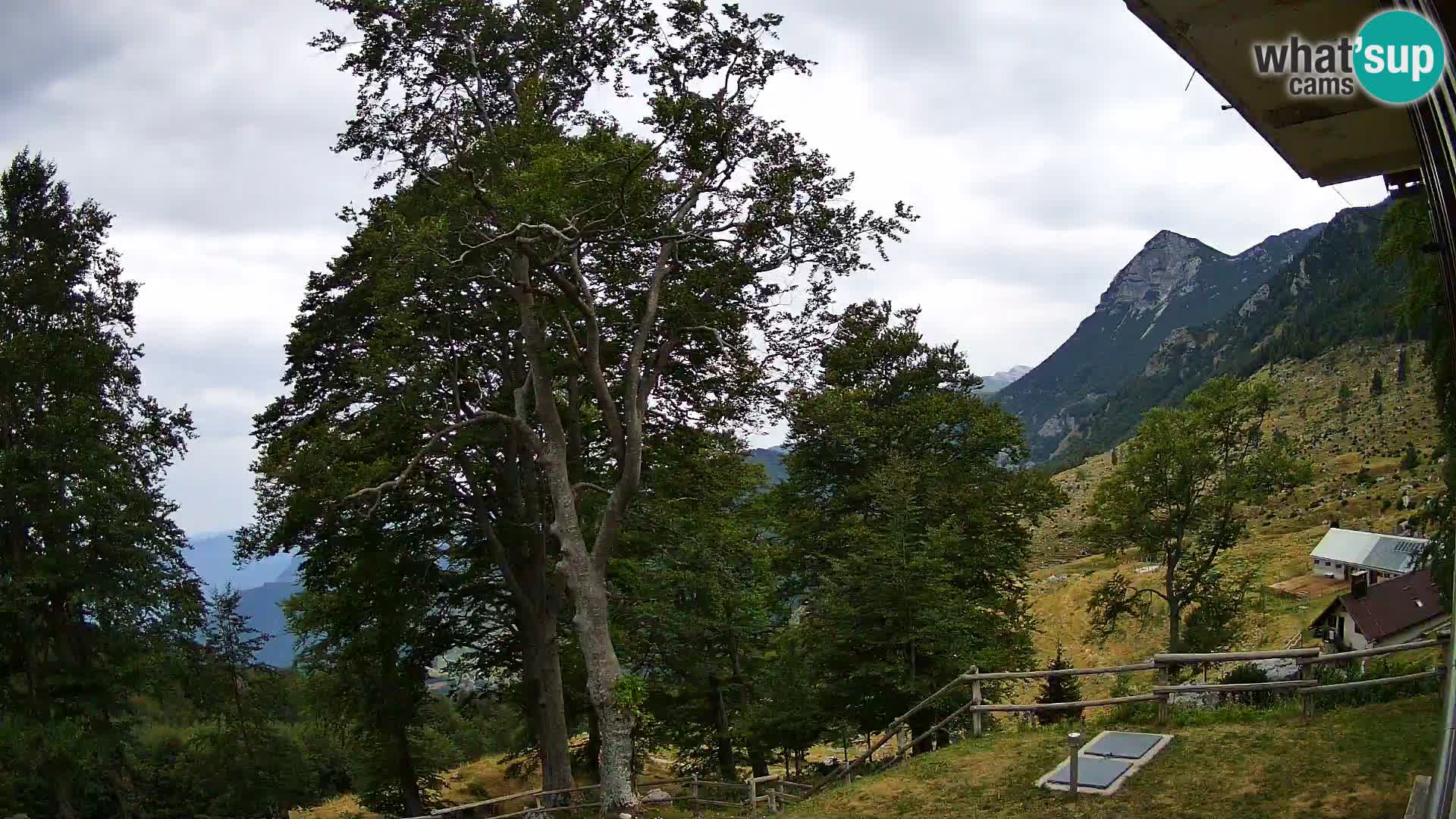 Baita di montagna Planina Razor webcam (1315) | vista su Tolminski Migovec