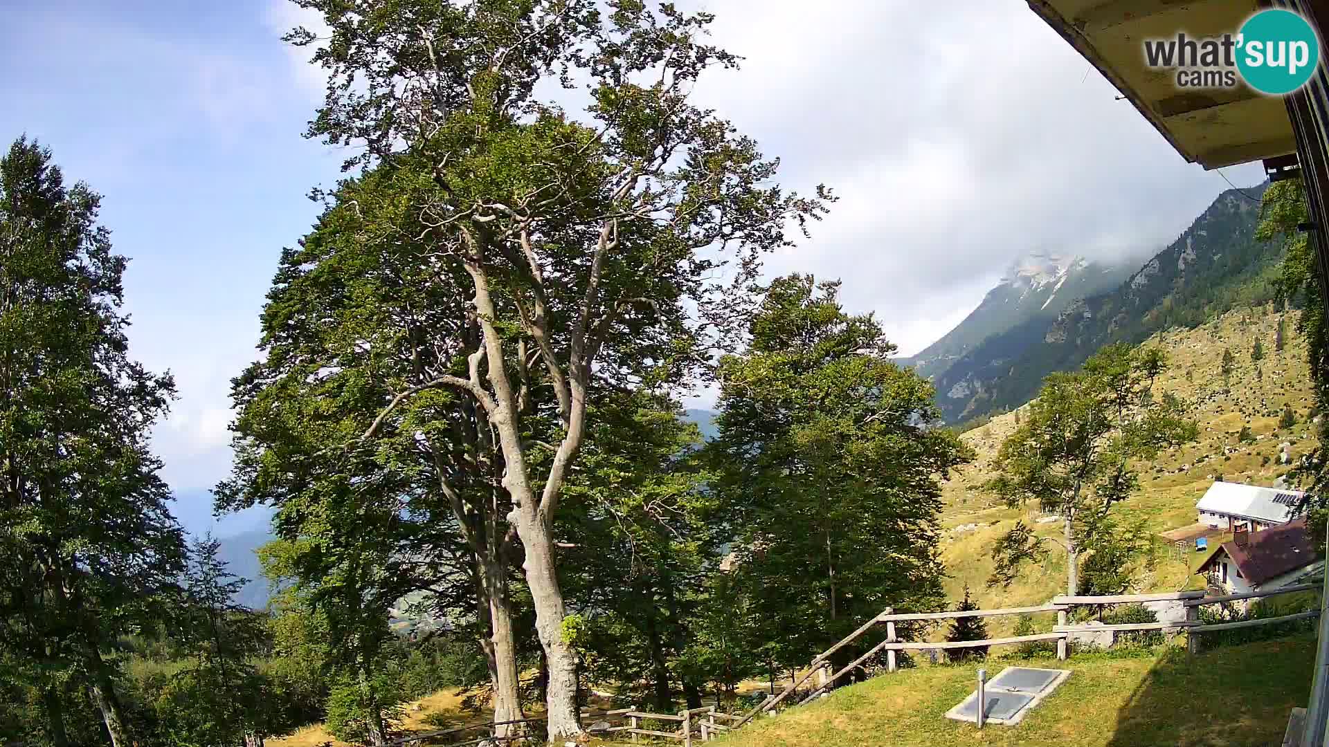 Planina Razor Bergütte Webcam (1315) | Blick auf Tolminski Migovec