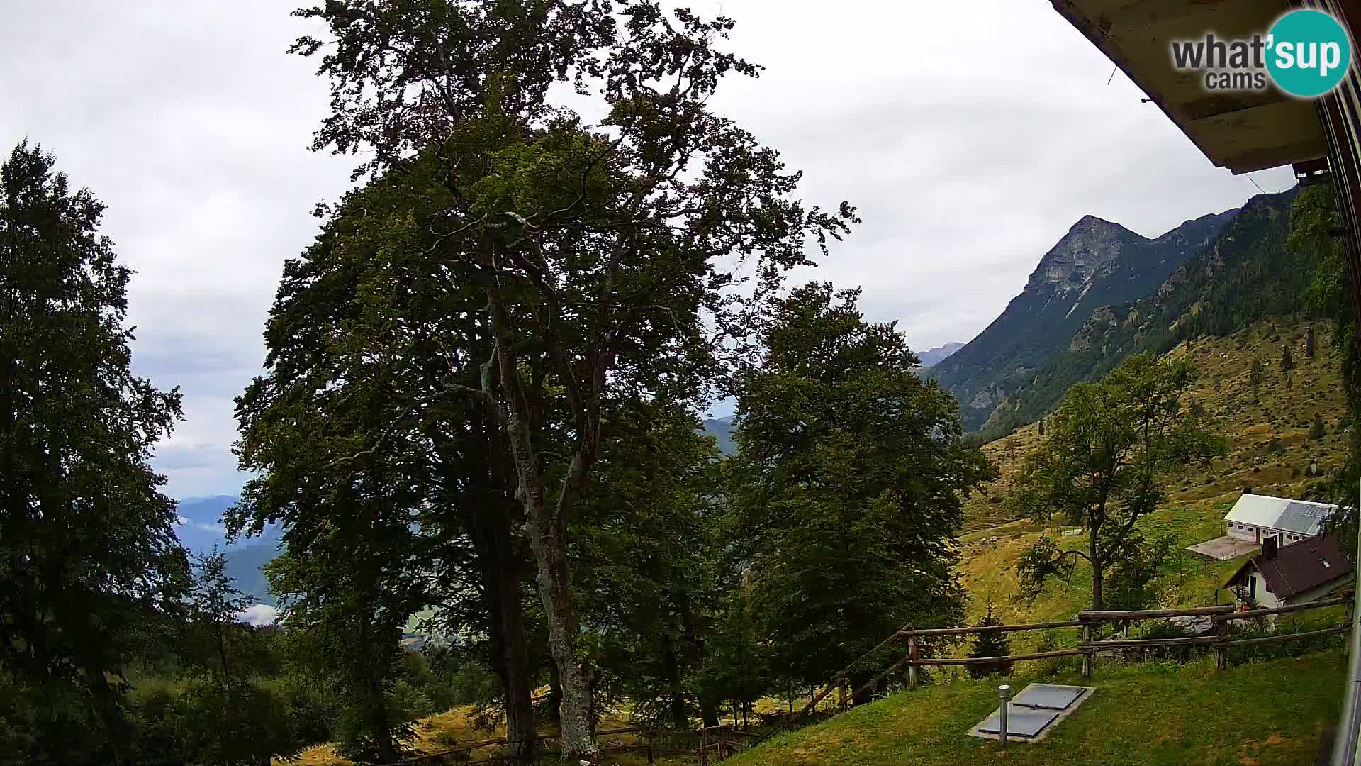 Baita di montagna Planina Razor webcam (1315) | vista su Tolminski Migovec