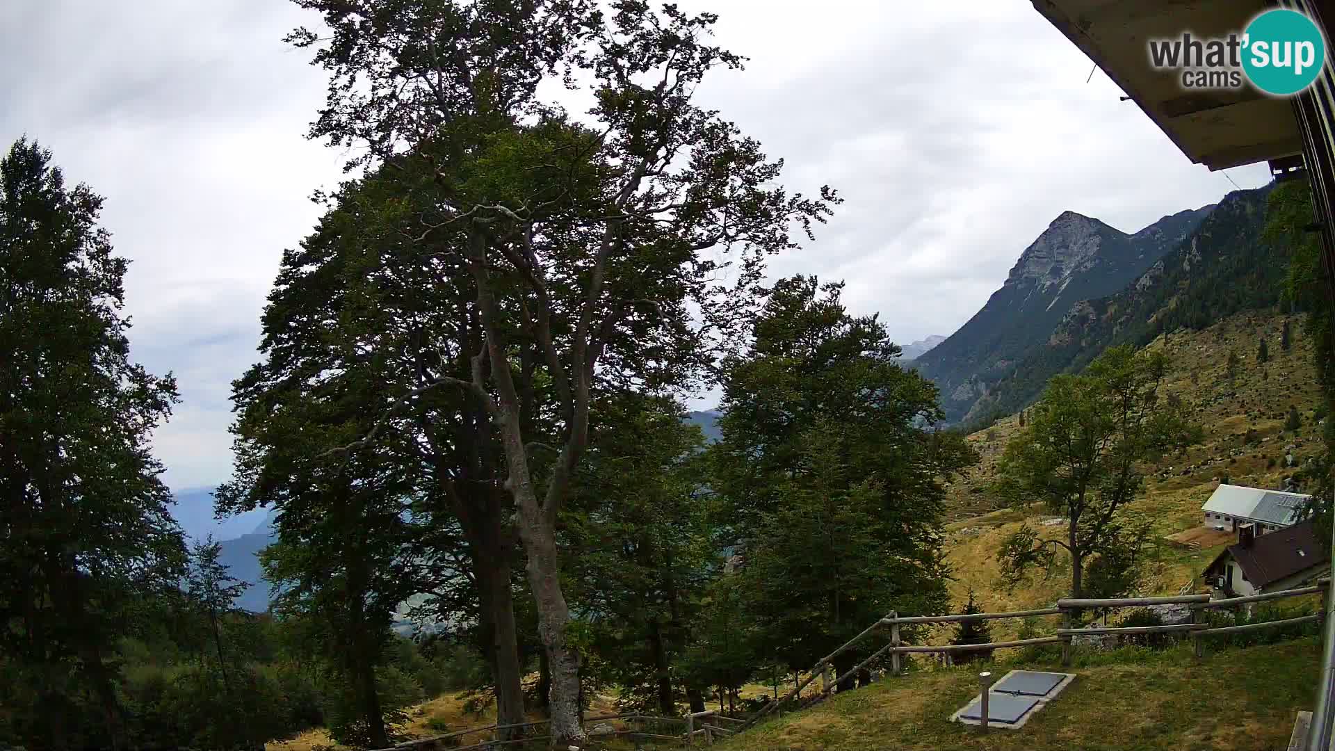 Cámara en vivo de la cabaña de montaña Planina Razor (1315) | vista hacia Tolminski Migovec
