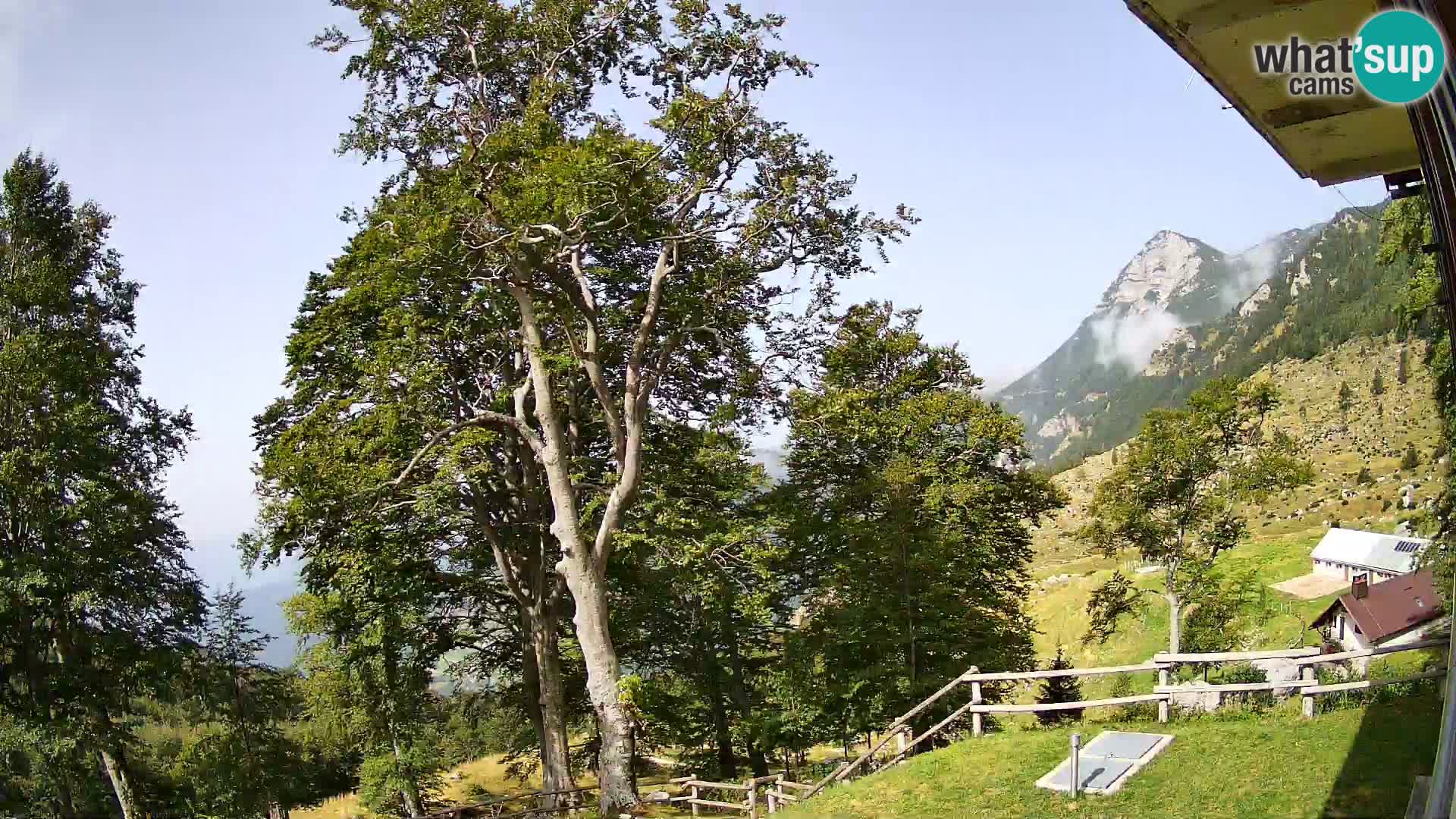 Baita di montagna Planina Razor webcam (1315) | vista su Tolminski Migovec