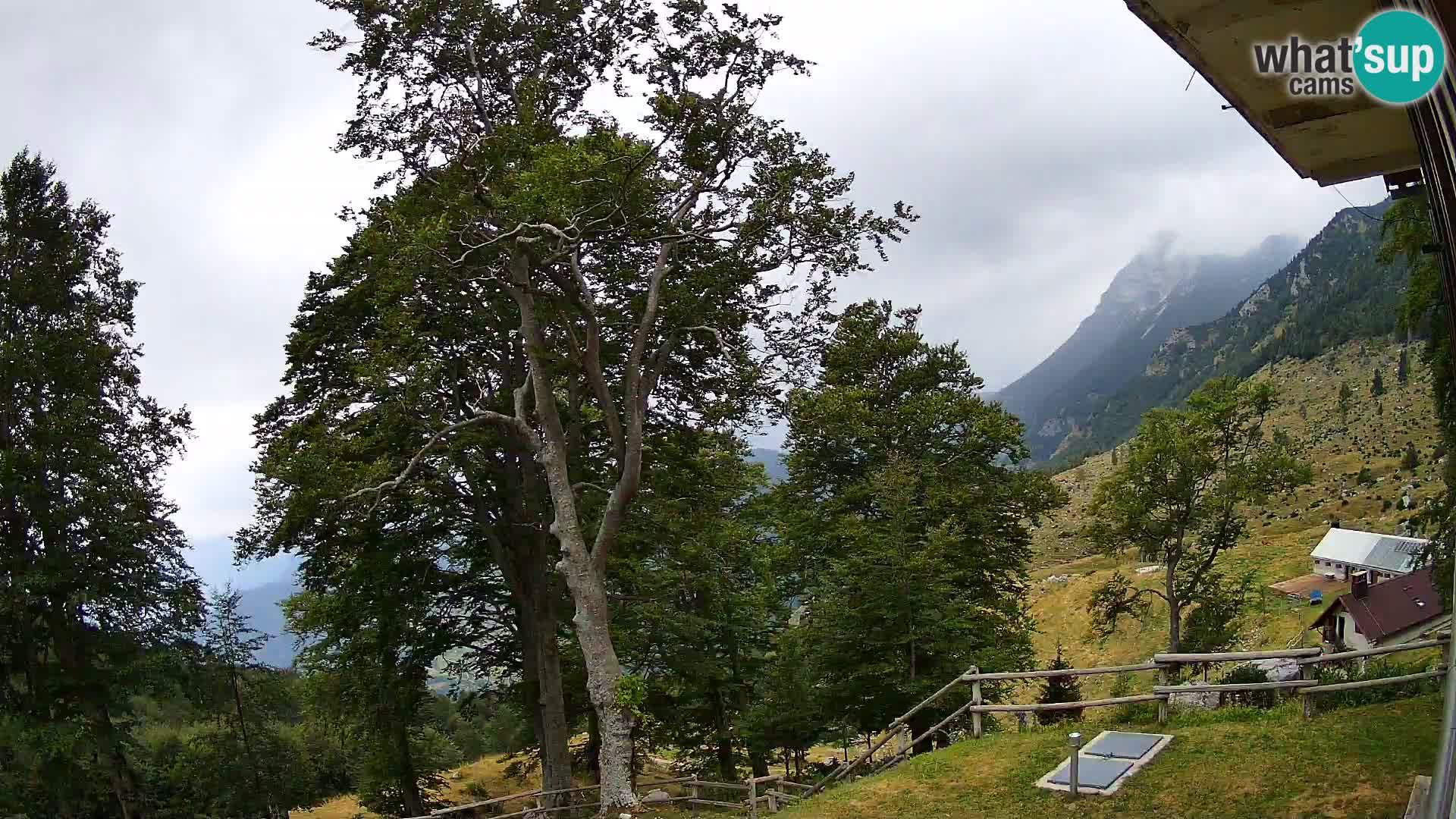 Planina Razor Bergütte Webcam (1315) | Blick auf Tolminski Migovec