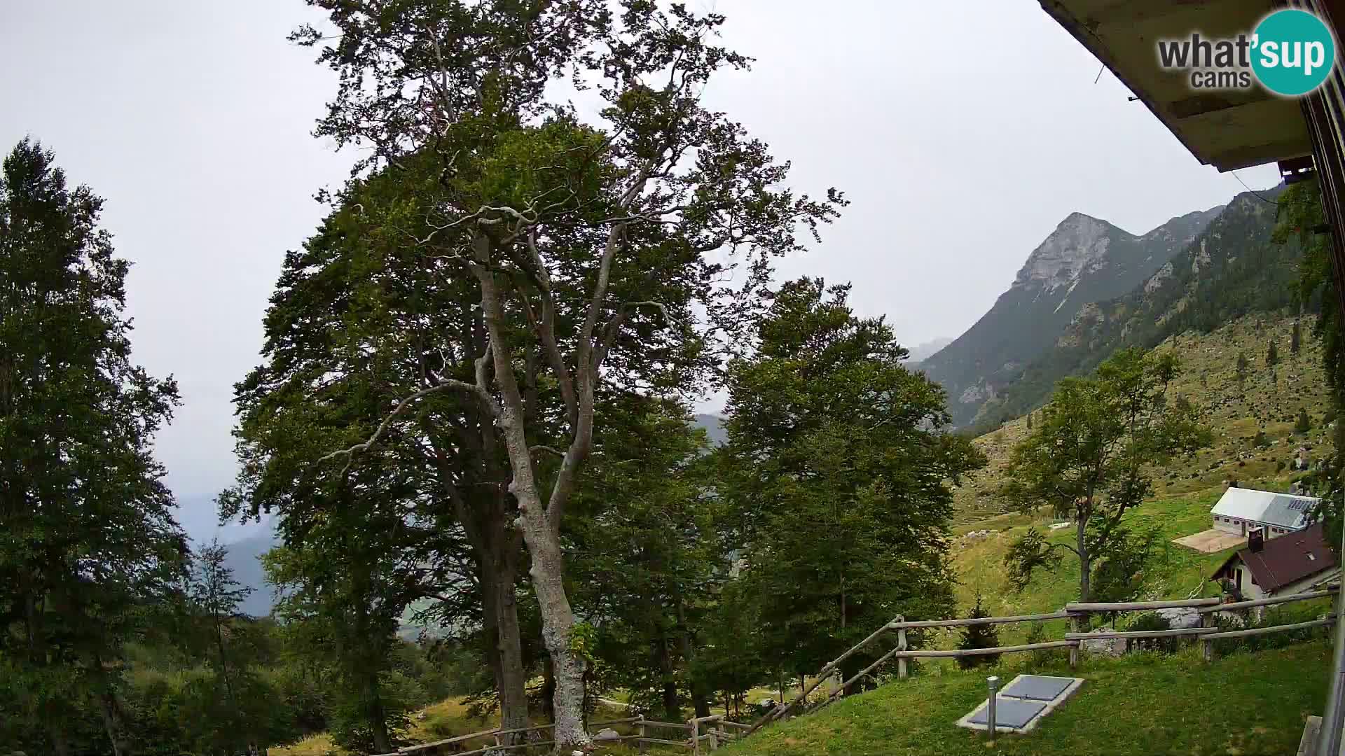 Planina Razor Mountain Hut live cam (1315) | view to Tolminski Migovec