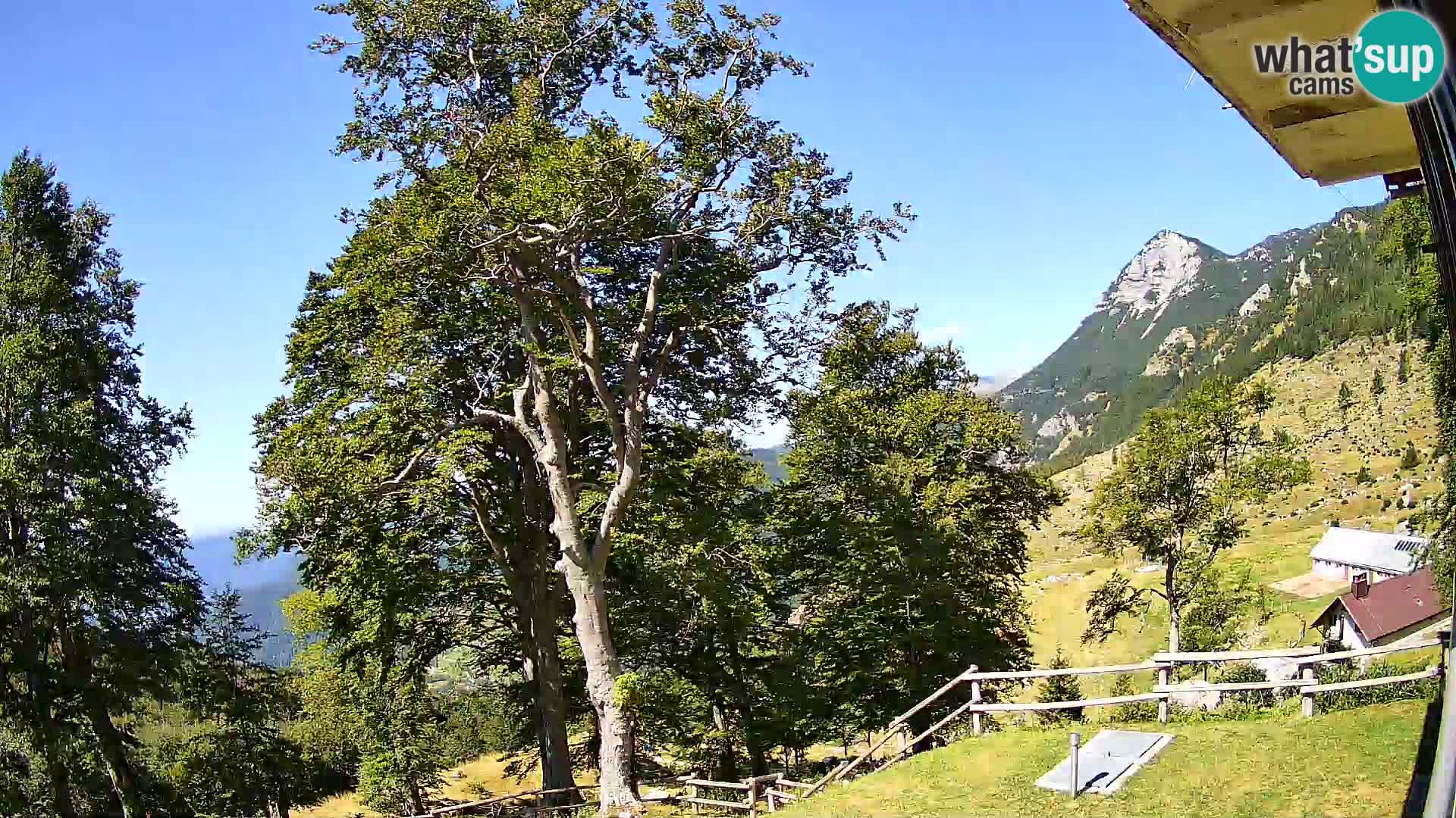Planina Razor Bergütte Webcam (1315) | Blick auf Tolminski Migovec