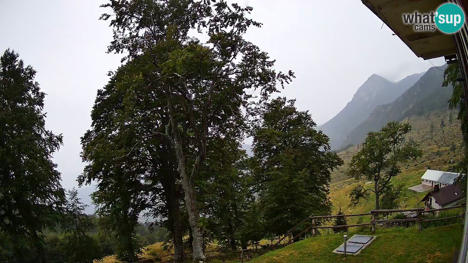 Planina Razor Bergütte Webcam (1315) | Blick auf Tolminski Migovec