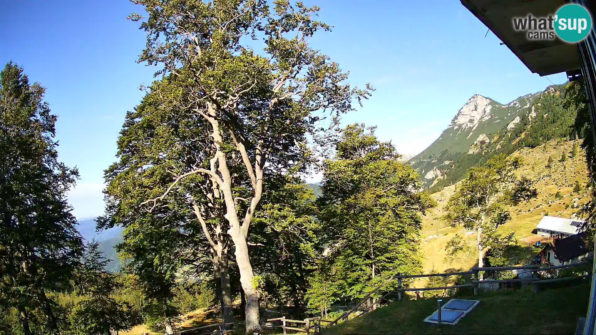 Planina Razor Bergütte Webcam (1315) | Blick auf Tolminski Migovec