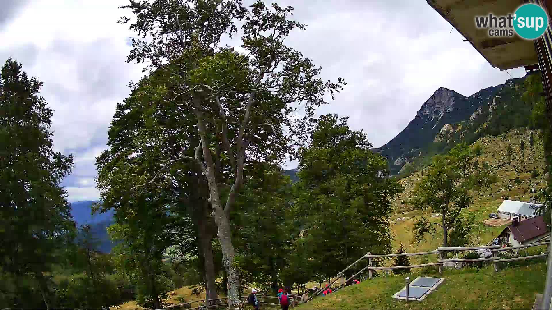 Baita di montagna Planina Razor webcam (1315) | vista su Tolminski Migovec