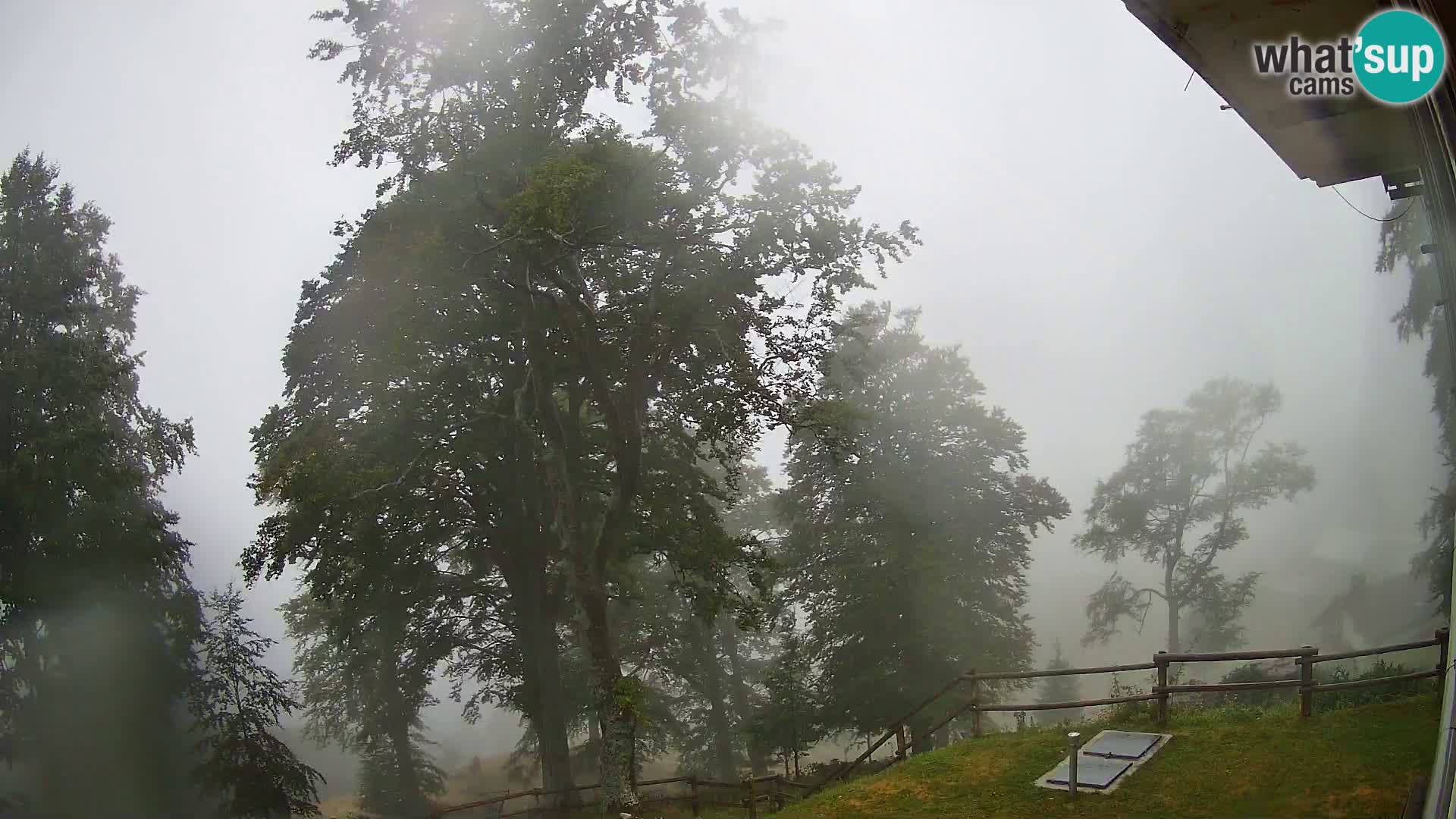 Planina Razor Bergütte Webcam (1315) | Blick auf Tolminski Migovec