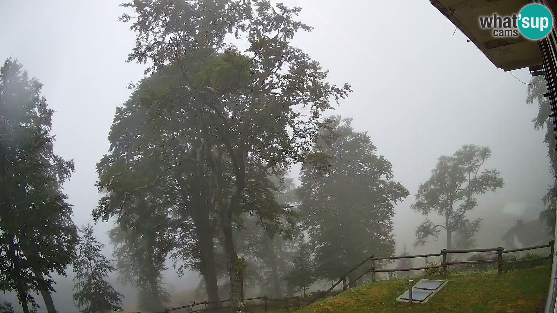Planina Razor Bergütte Webcam (1315) | Blick auf Tolminski Migovec