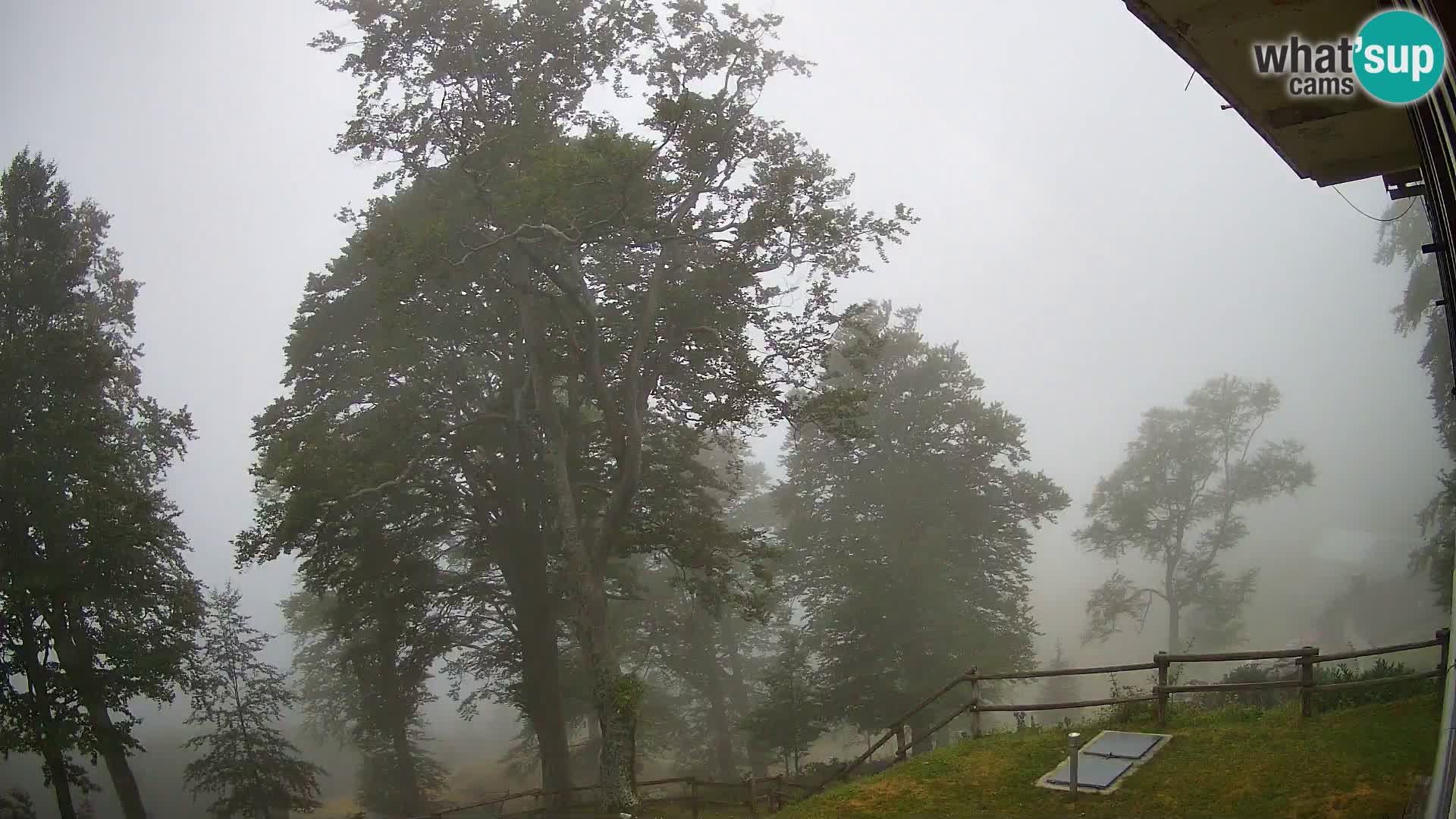 Planina Razor Bergütte Webcam (1315) | Blick auf Tolminski Migovec
