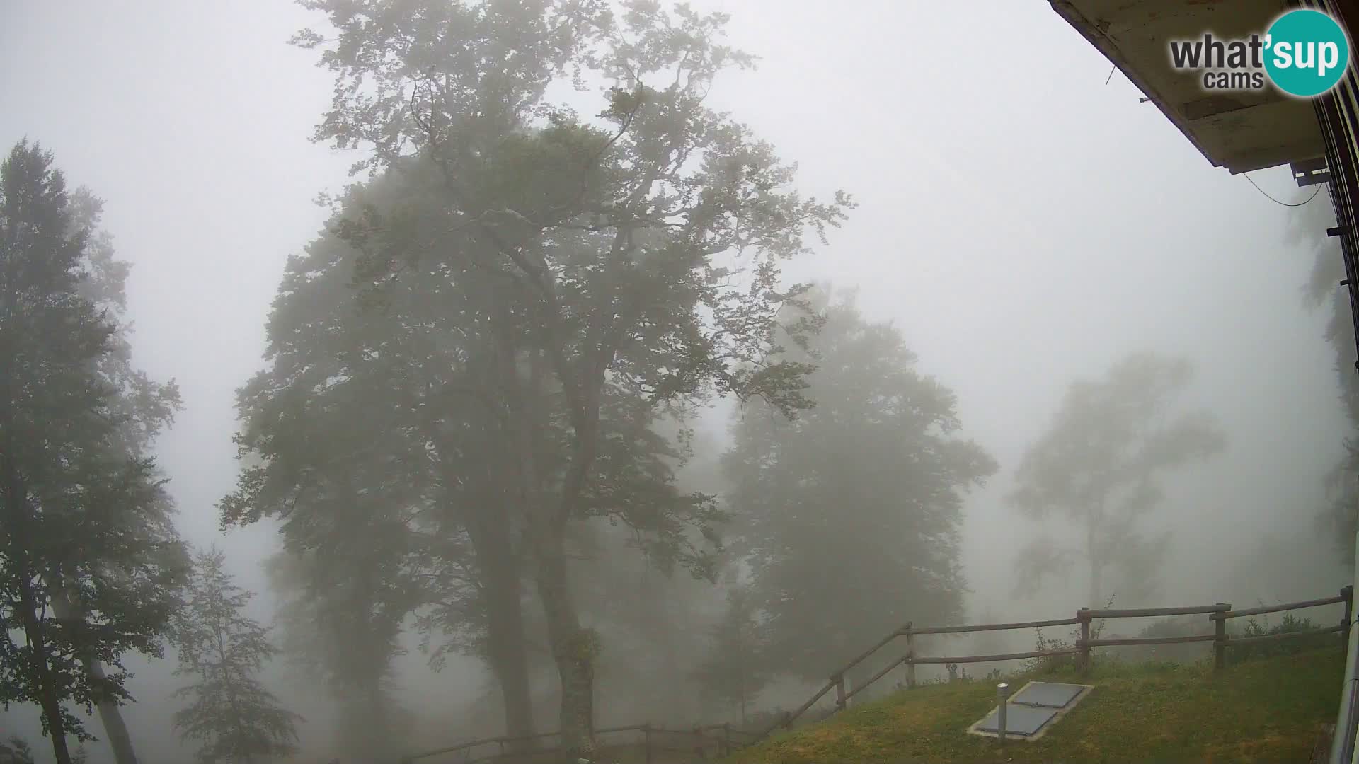Cámara en vivo de la cabaña de montaña Planina Razor (1315) | vista hacia Tolminski Migovec