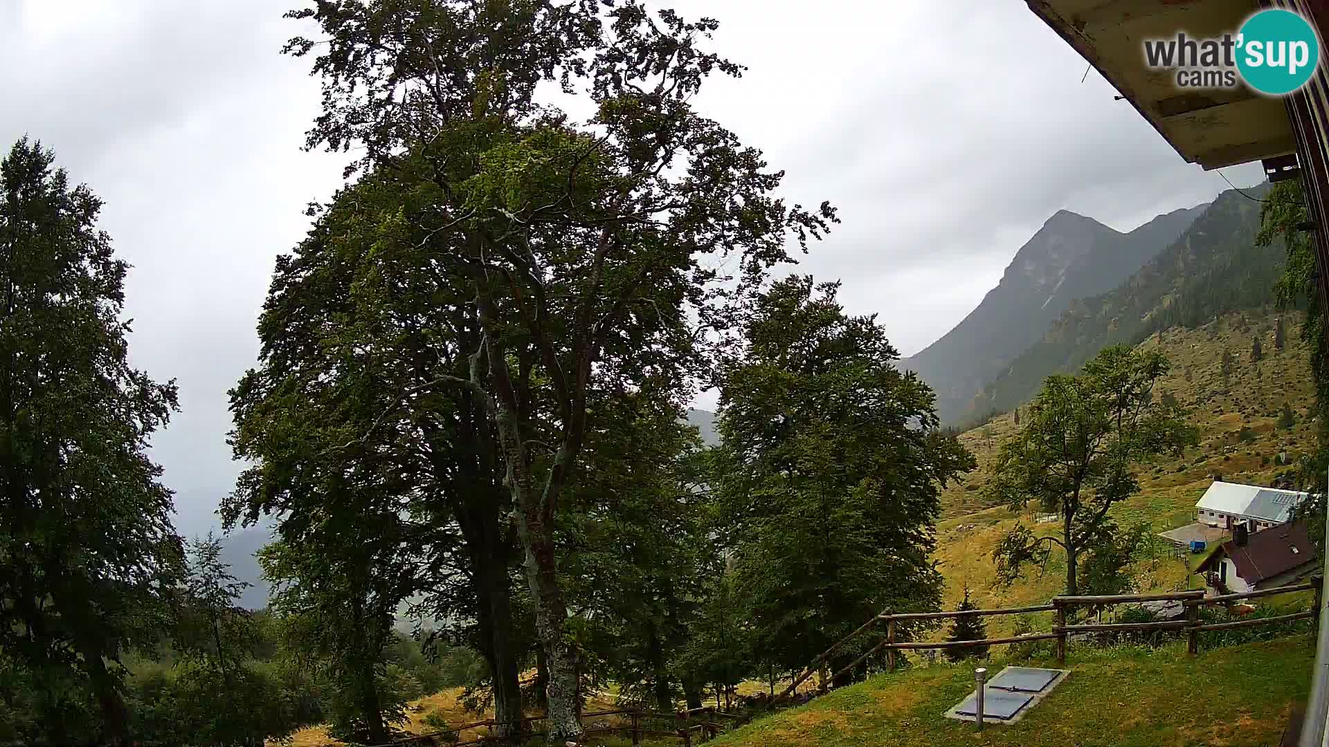 Planina Razor Bergütte Webcam (1315) | Blick auf Tolminski Migovec