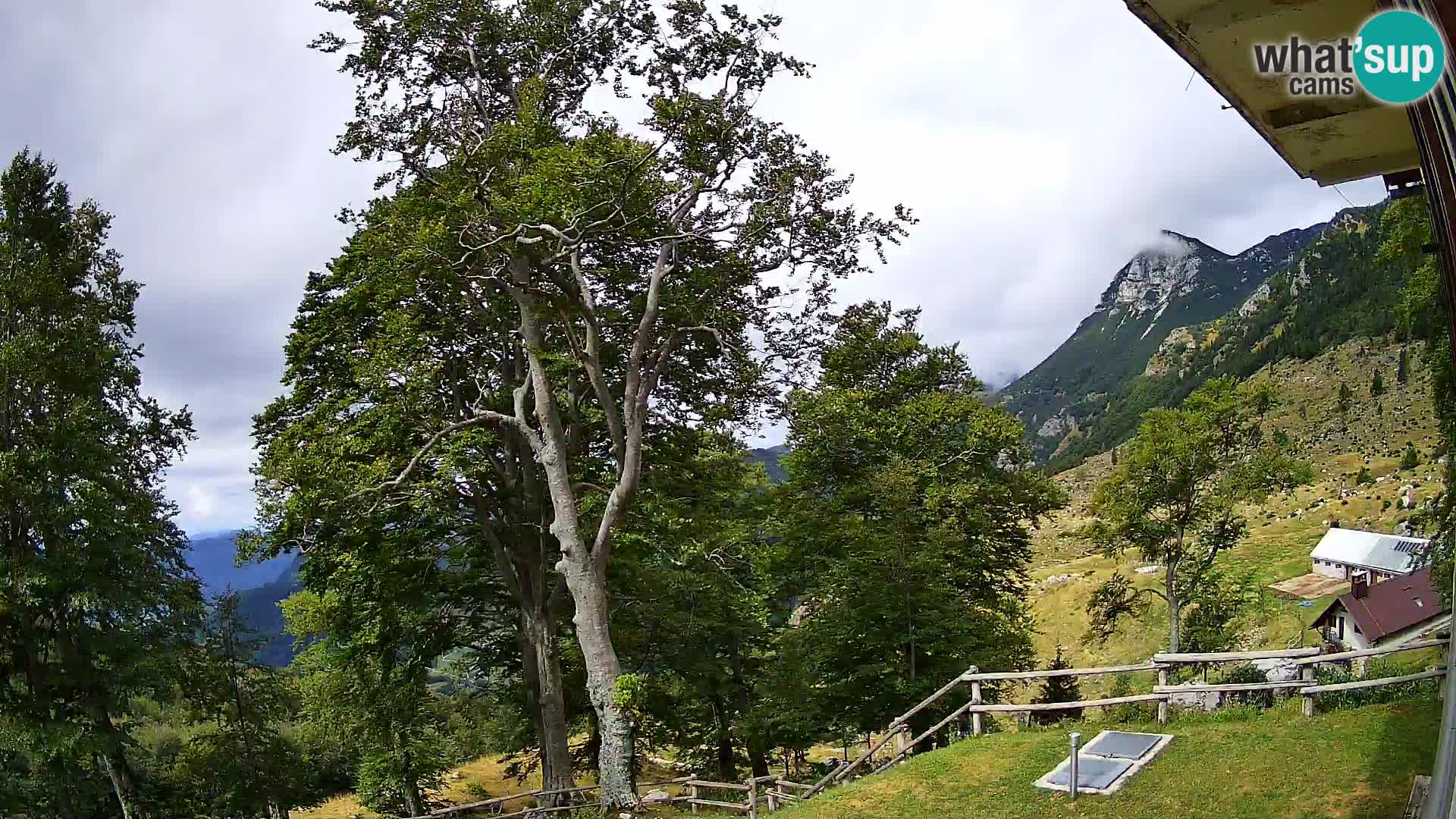 Baita di montagna Planina Razor webcam (1315) | vista su Tolminski Migovec