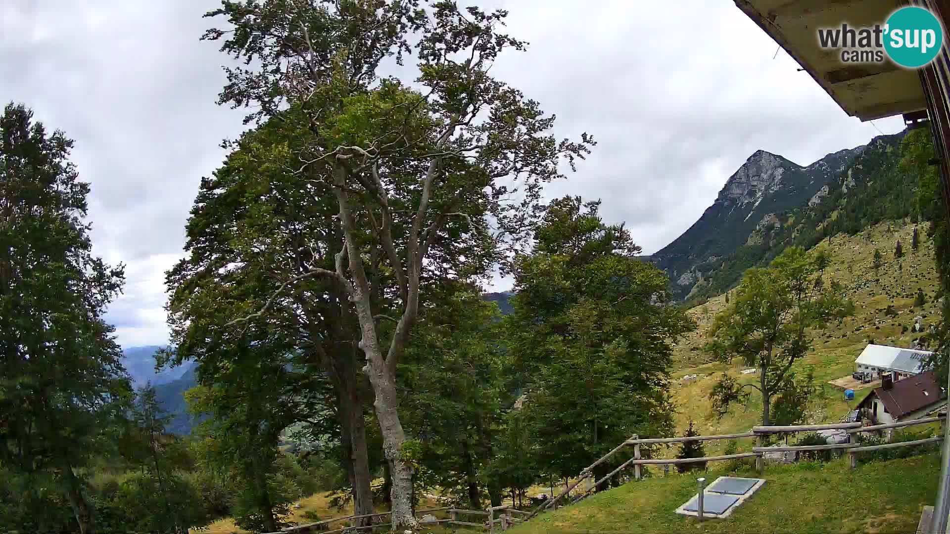 Planina Razor Bergütte Webcam (1315) | Blick auf Tolminski Migovec