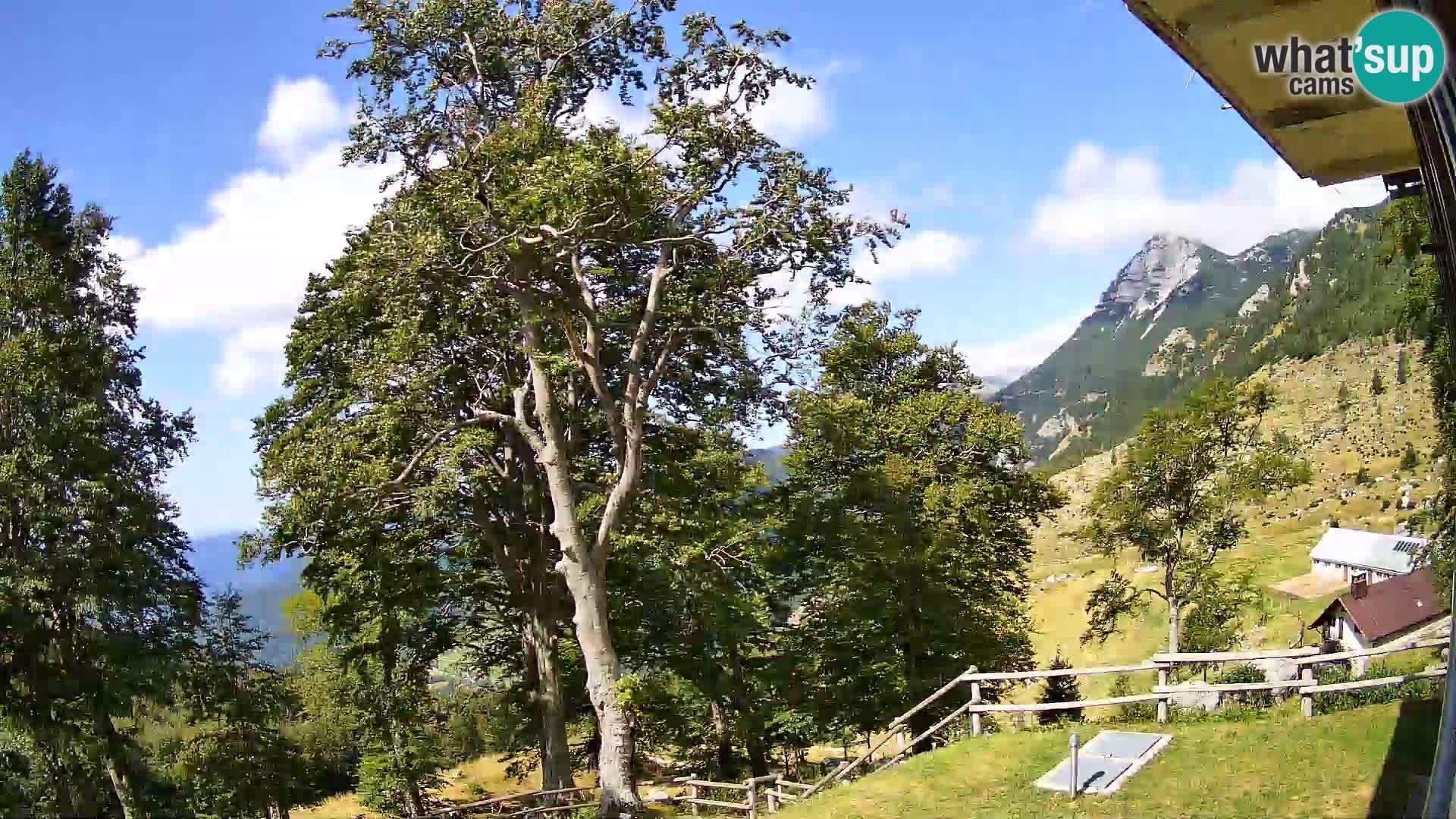 Planina Razor Bergütte Webcam (1315) | Blick auf Tolminski Migovec