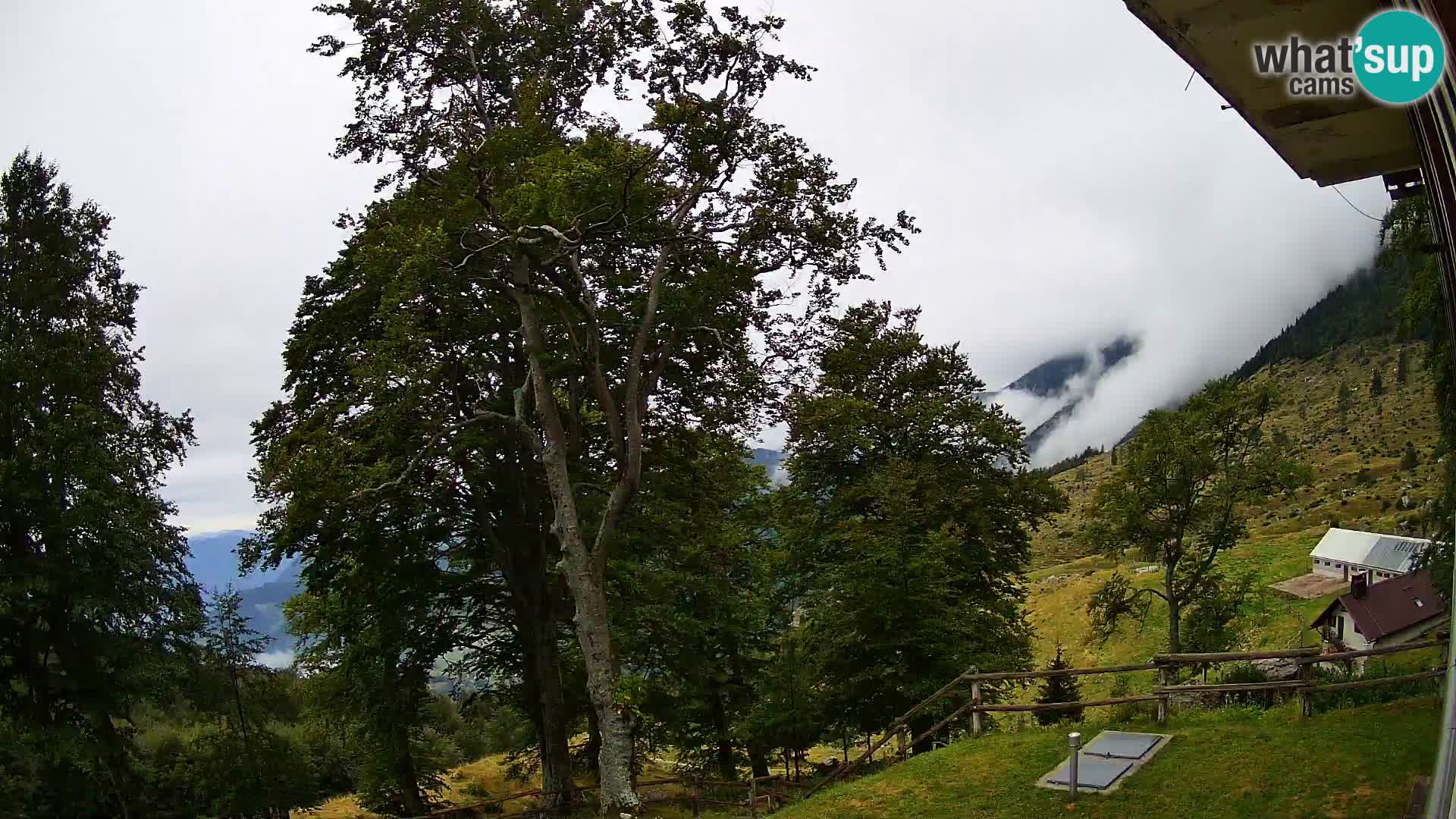 Planina Razor Bergütte Webcam (1315) | Blick auf Tolminski Migovec